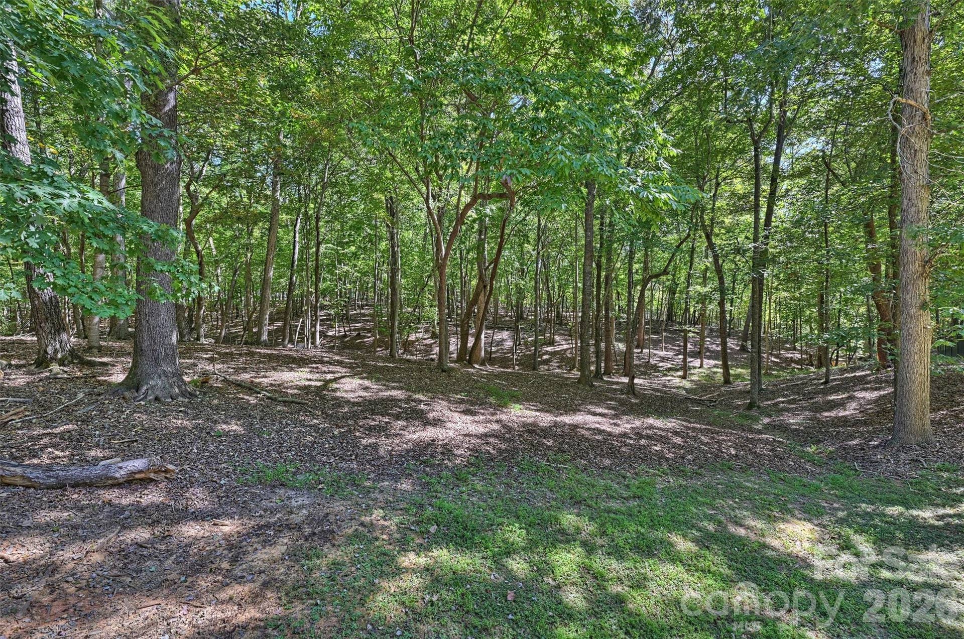 7501 Big Buck Trail, Waxhaw, NC 28173 7501 Big Buck Trail, Waxhaw, NC 28173