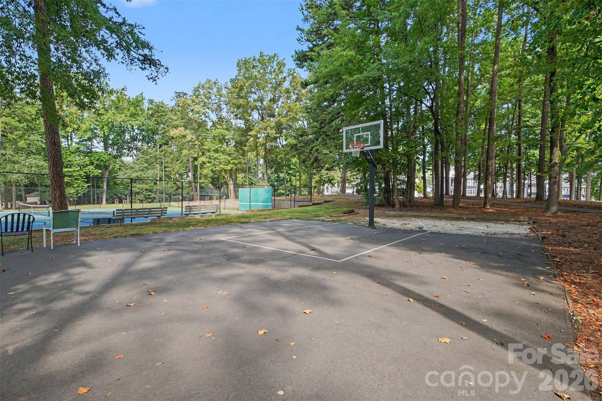 Natural area and walking paths.
