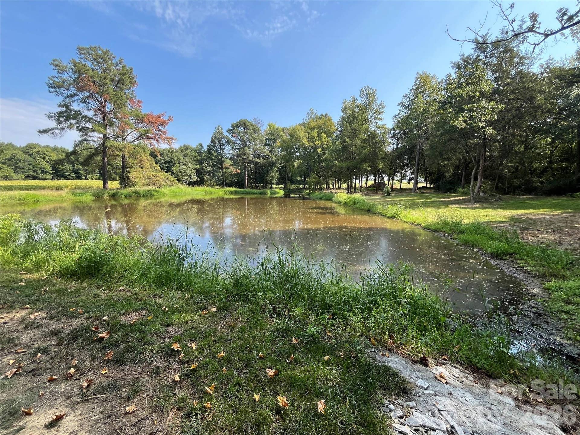 Nice pond for livestock, enjoyment, and wildlife to enjoy