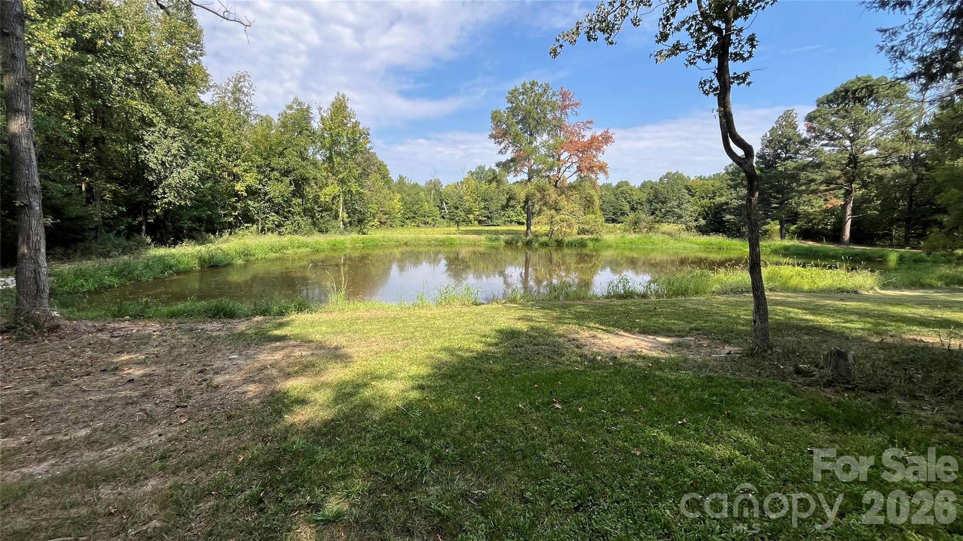 Pond view