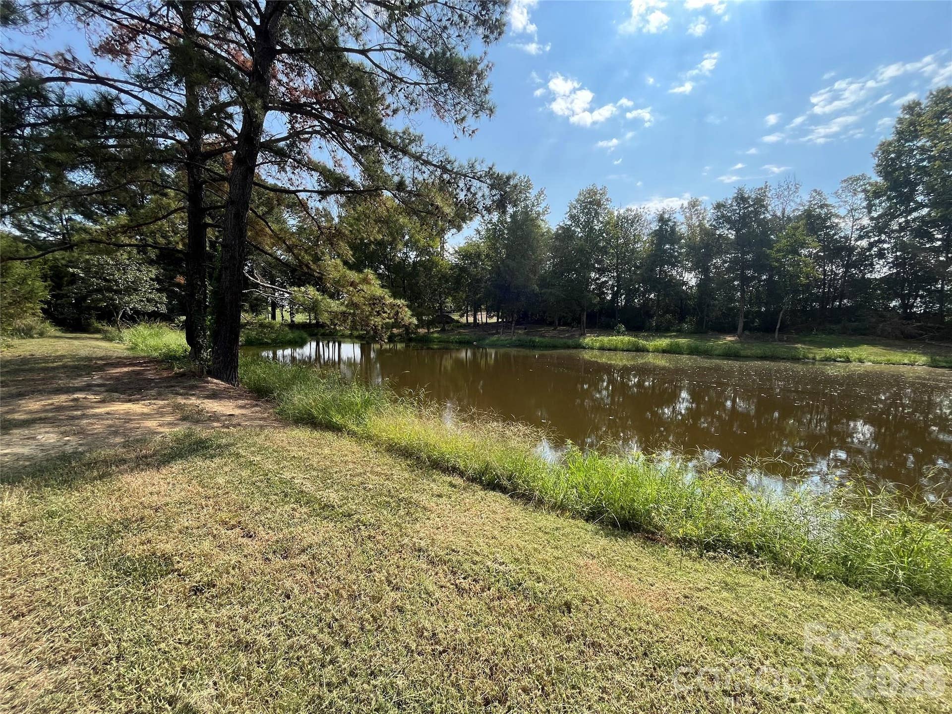 Pond view
