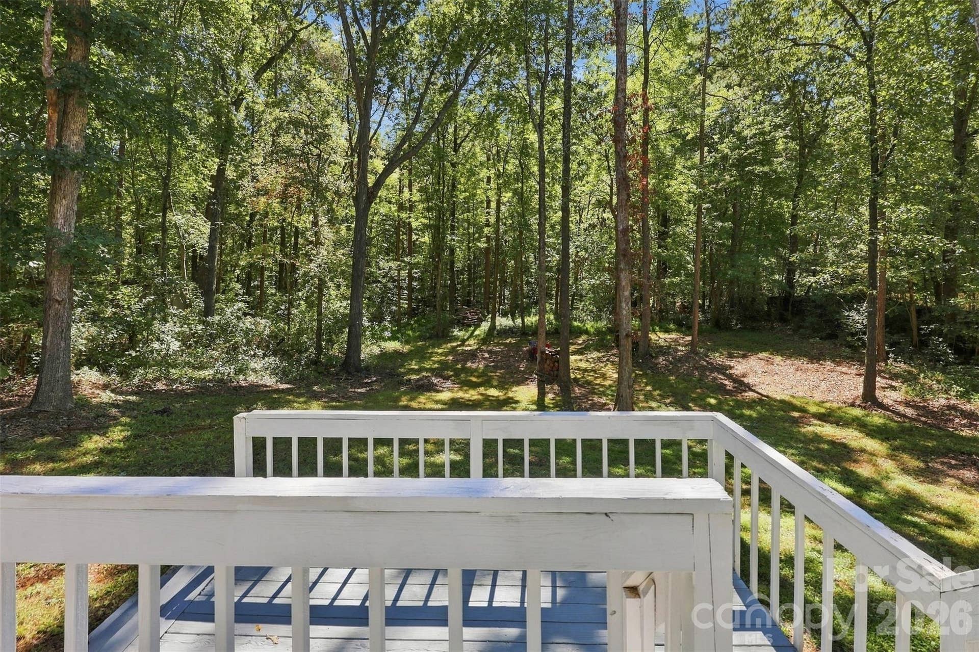 View from the back deck