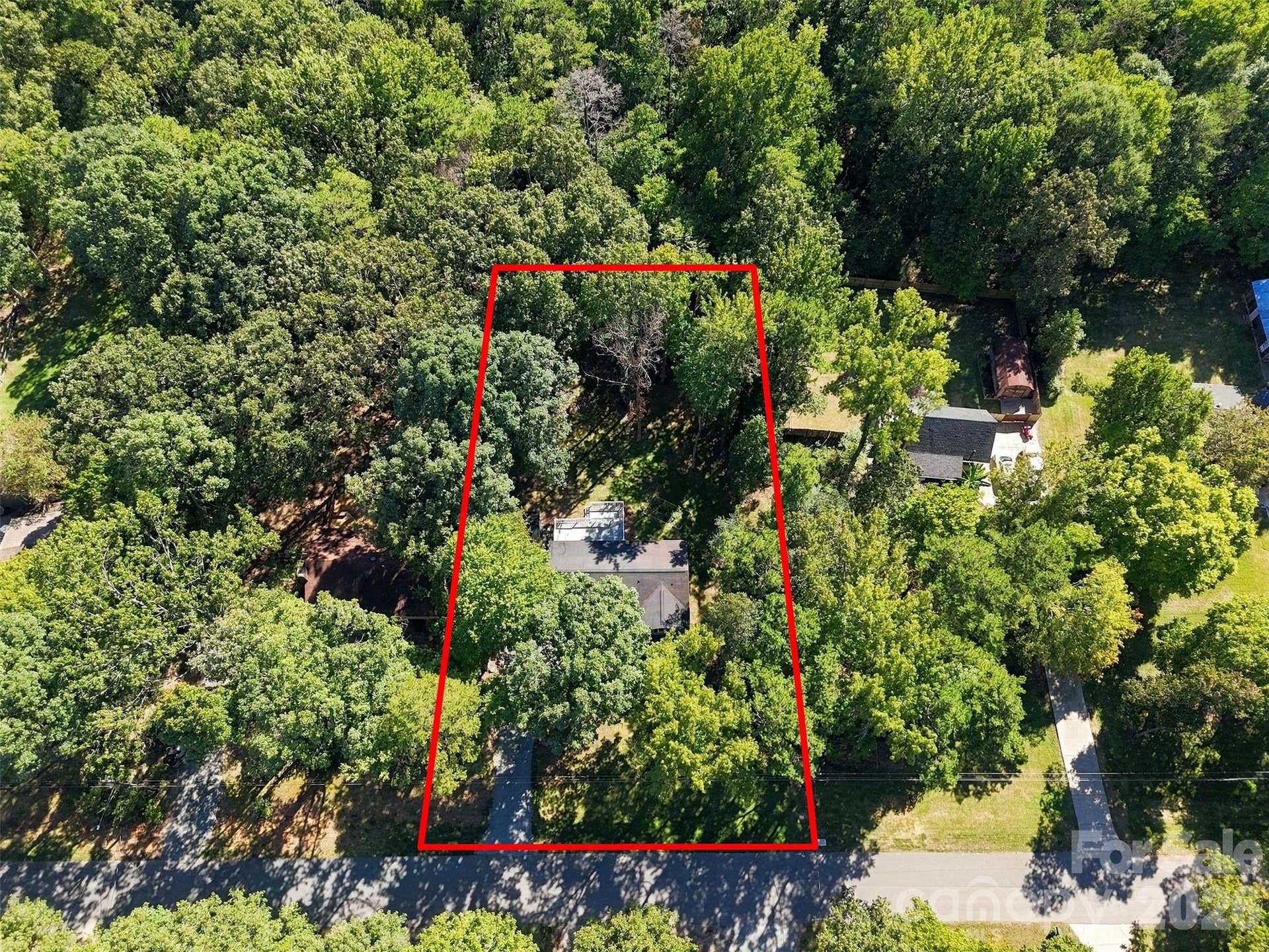 Aerial vew with approximate lot line