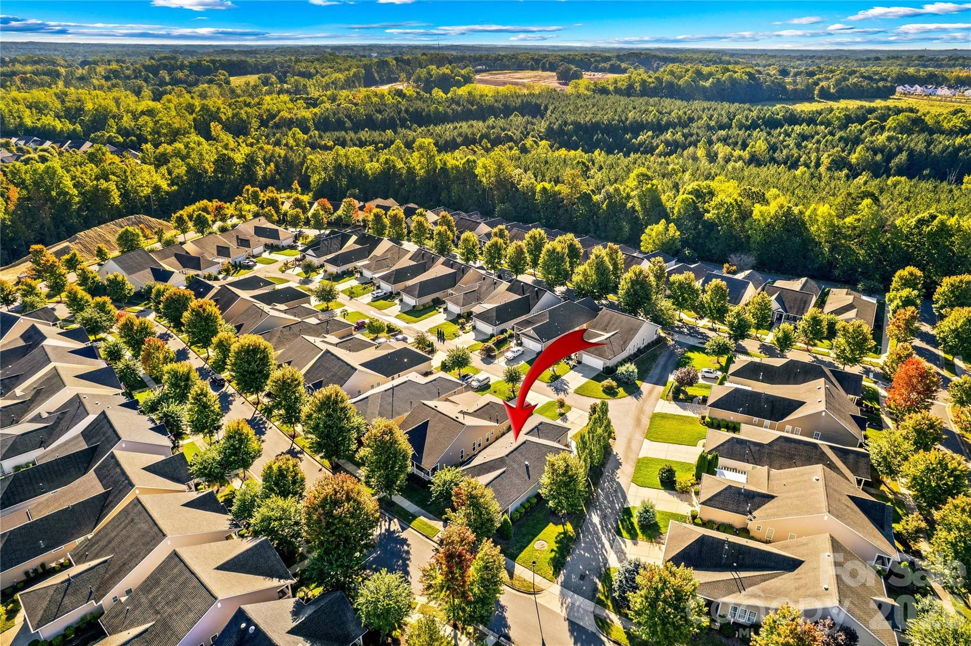 18114 Ebenezer Drive, Cornelius, NC 28031