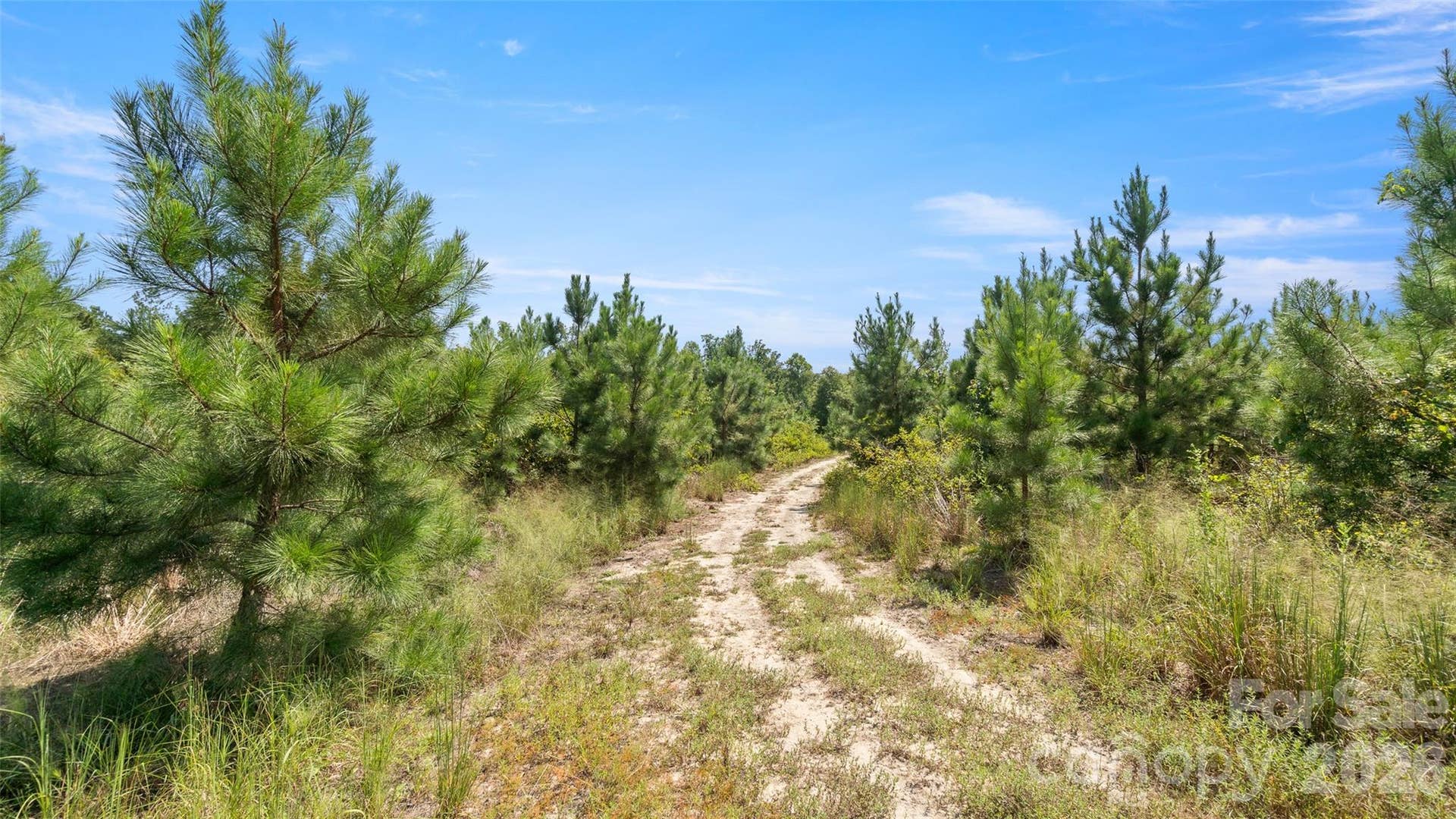 318 McFarlan Road, Morven, NC 28119 318 McFarlan Road, Morven, NC 28119
