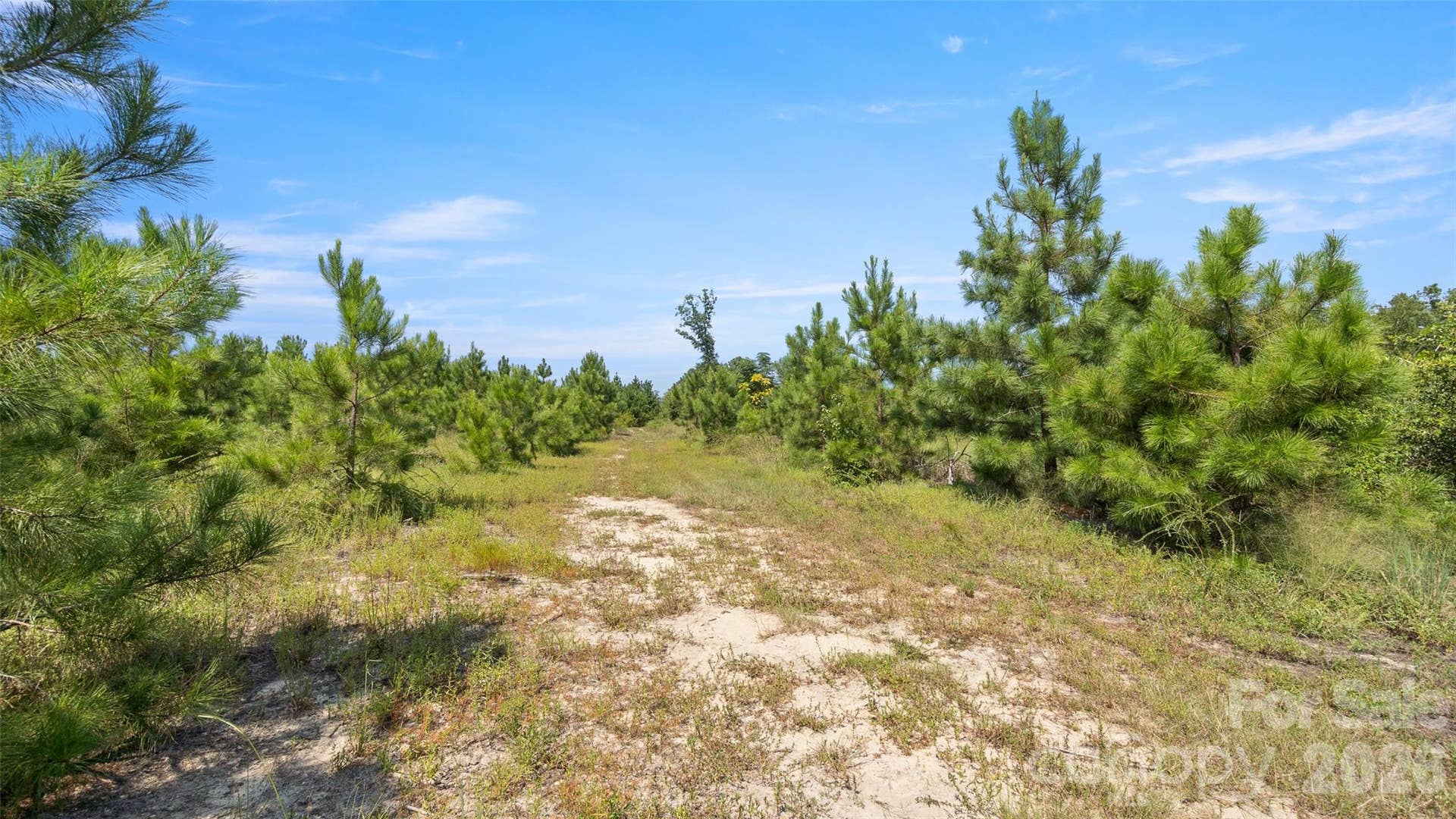 318 McFarlan Road, Morven, NC 28119 318 McFarlan Road, Morven, NC 28119