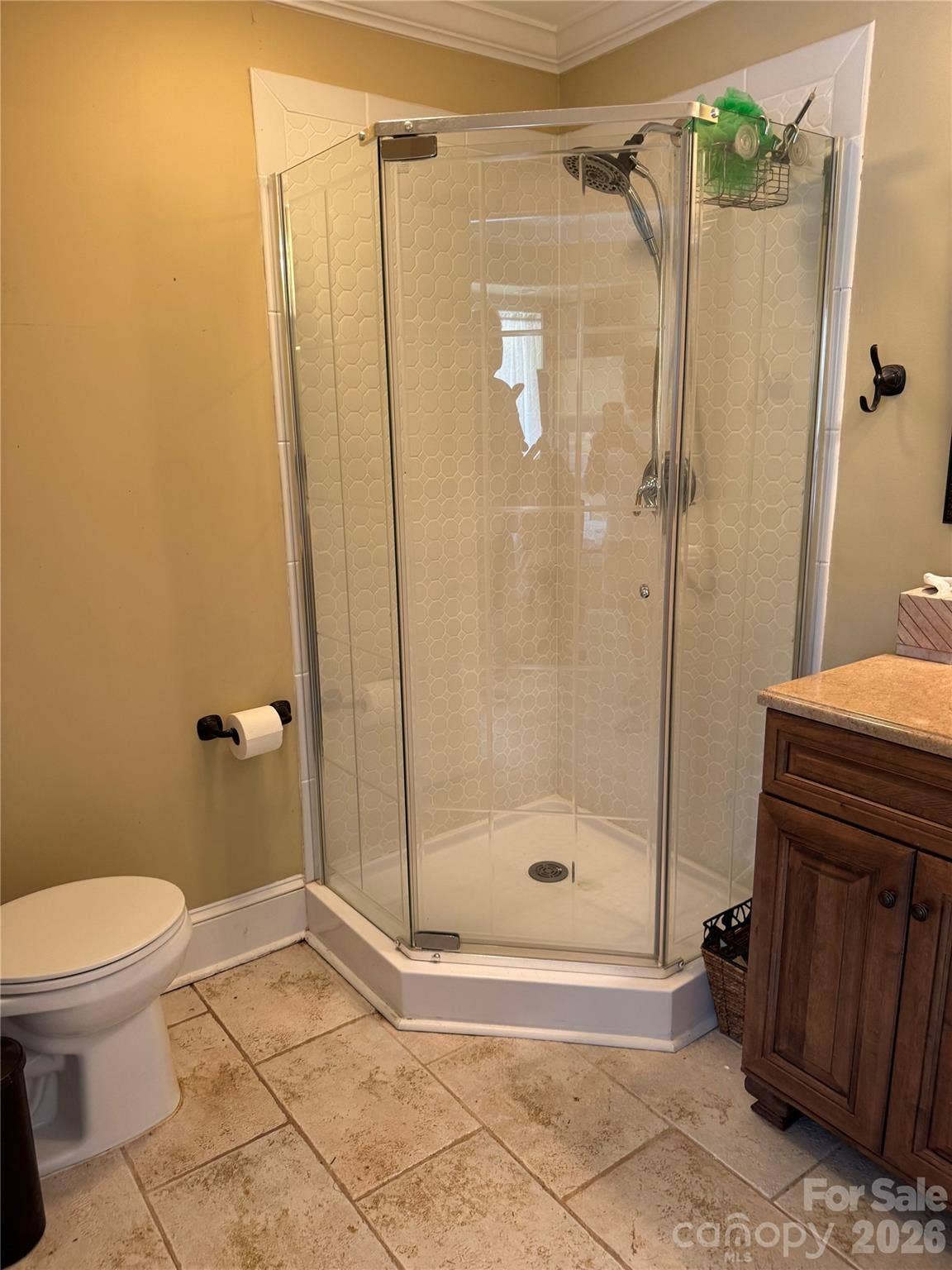 773 Beachwood Cove Drive, Tega Cay, SC 29708