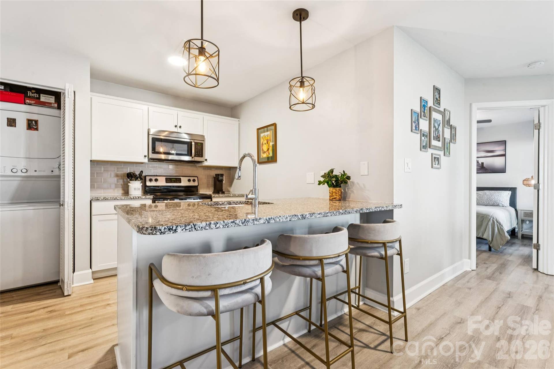 18819 Vineyard Point Lane, Cornelius, NC 28031