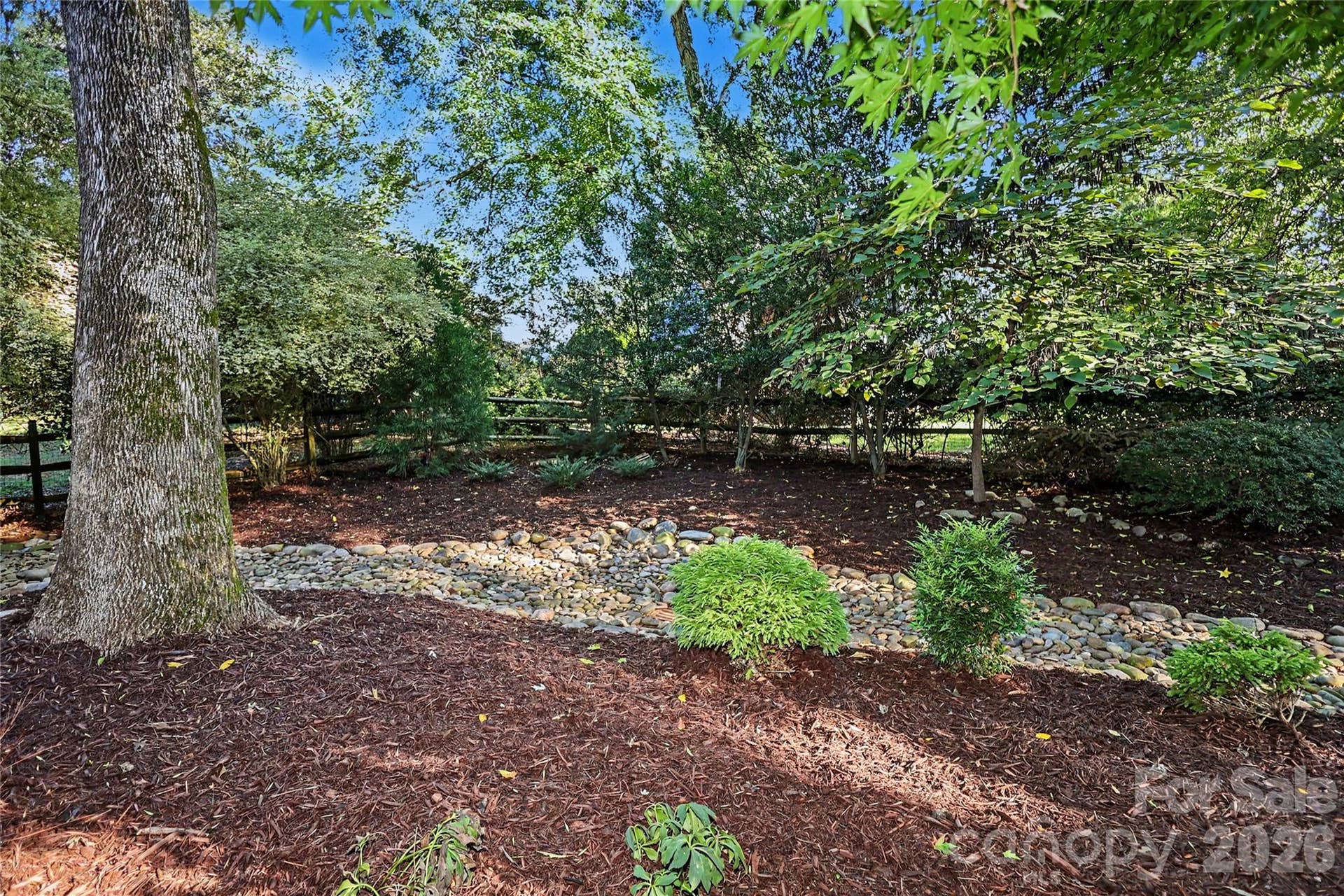 Fenced Backyard