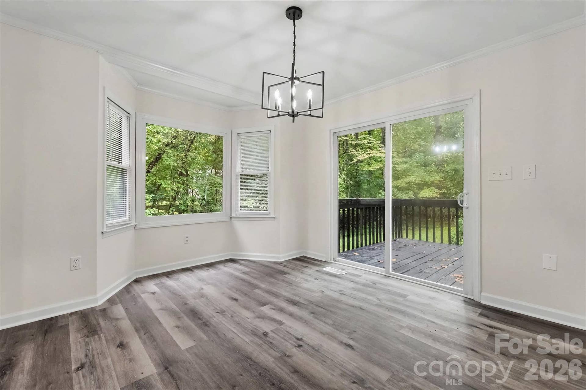 6524 Pine Forest Drive, York, SC 29745