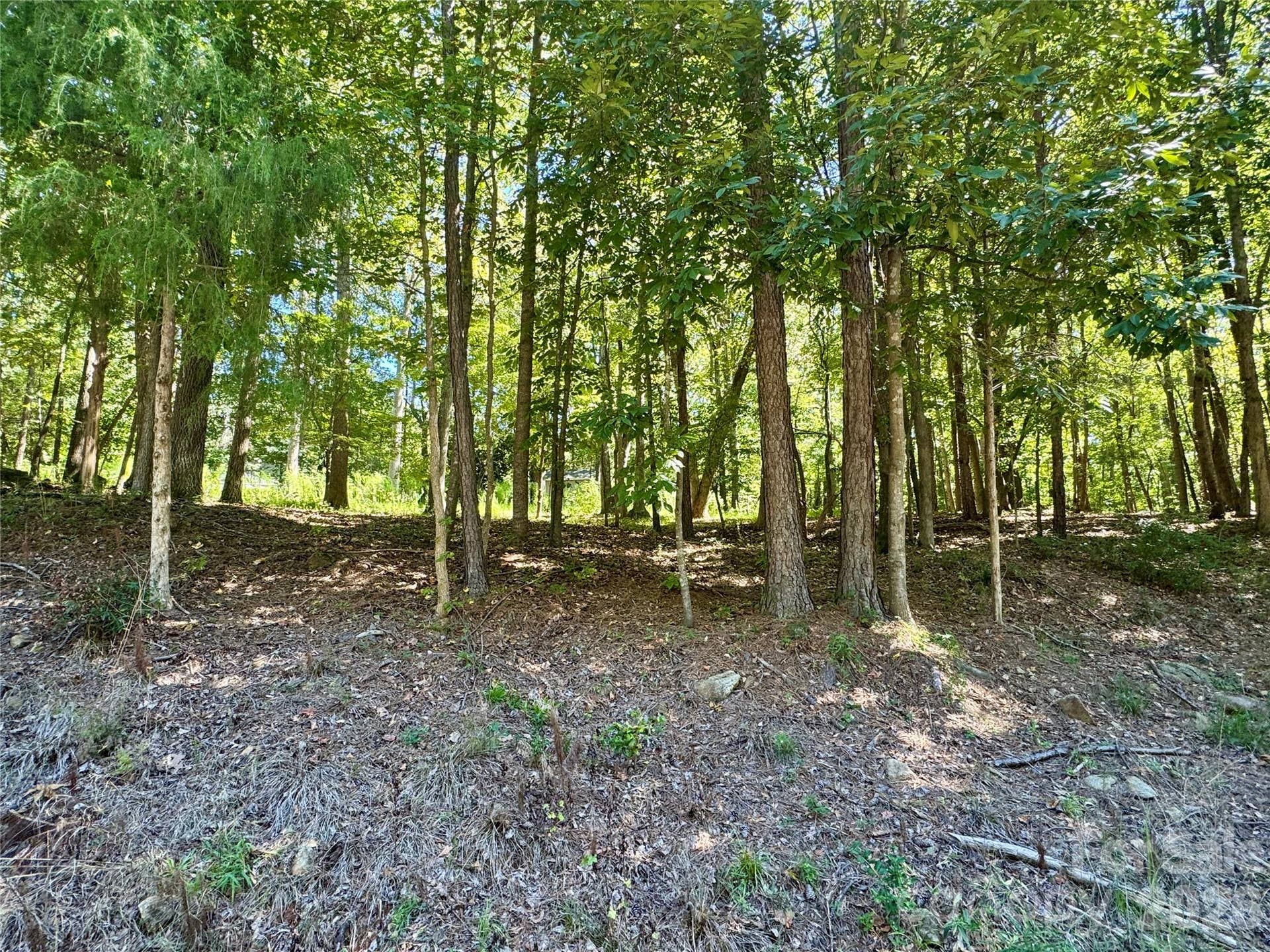 10062 Southwinds Drive, Indian Land, SC 29707 10062 Southwinds Drive, Indian Land, SC 29707
