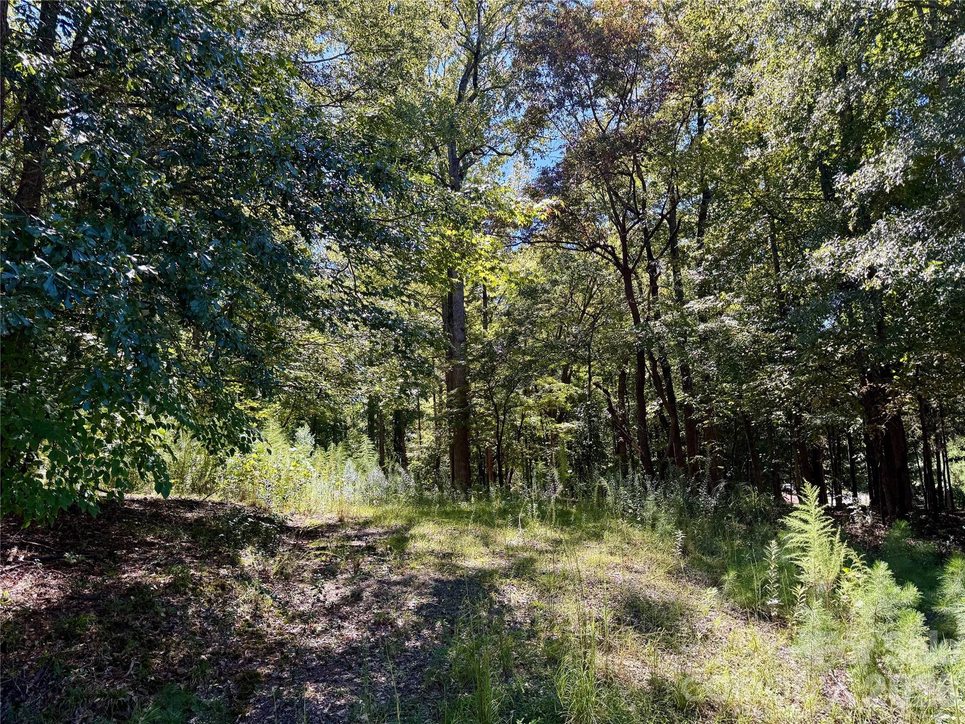 10062 Southwinds Drive, Indian Land, SC 29707 10062 Southwinds Drive, Indian Land, SC 29707