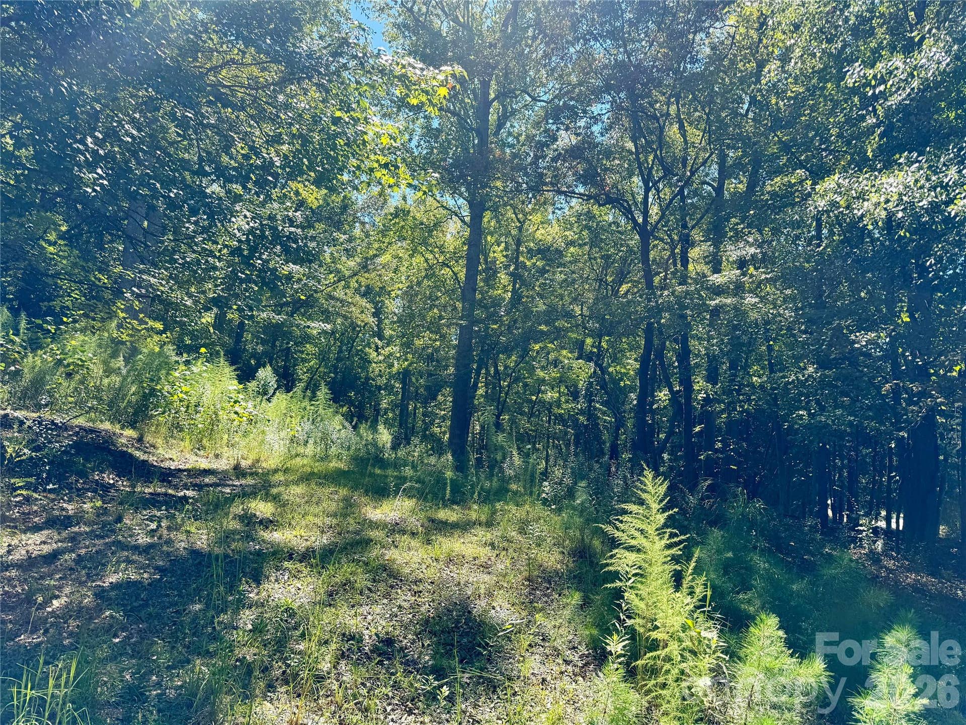 10062 Southwinds Drive, Indian Land, SC 29707 10062 Southwinds Drive, Indian Land, SC 29707