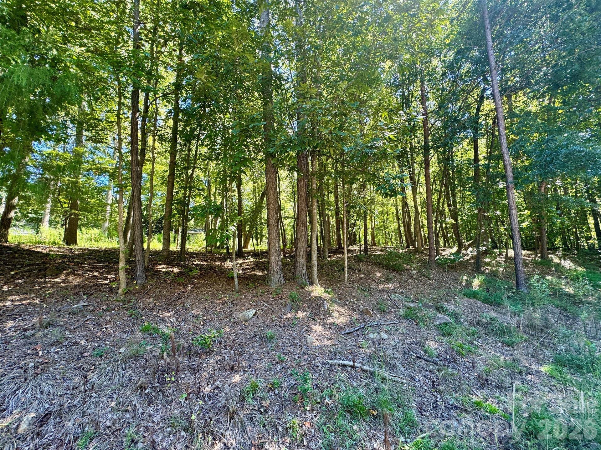 10062 Southwinds Drive, Indian Land, SC 29707 10062 Southwinds Drive, Indian Land, SC 29707