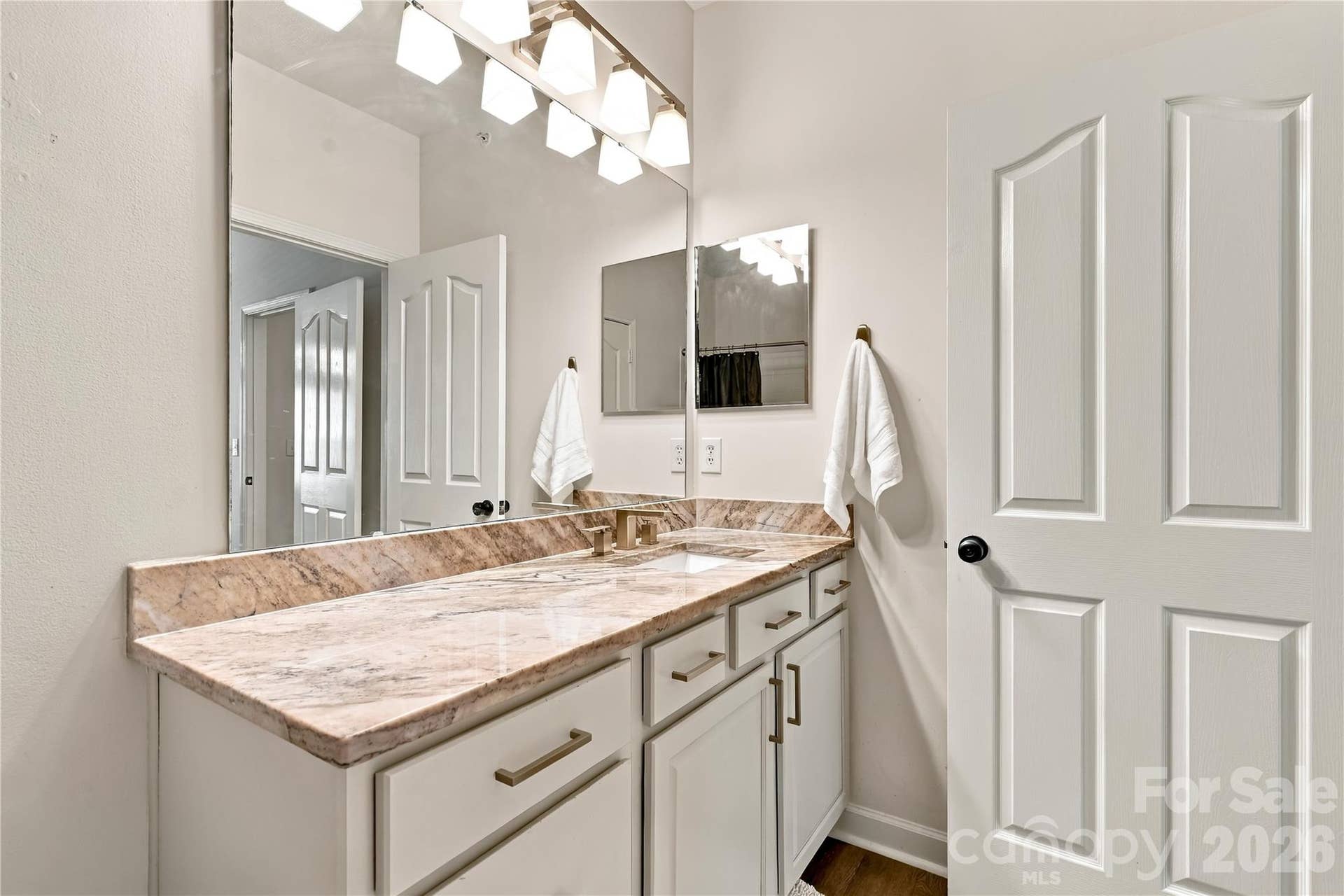19819 Deer Valley Drive, Cornelius, NC 28031