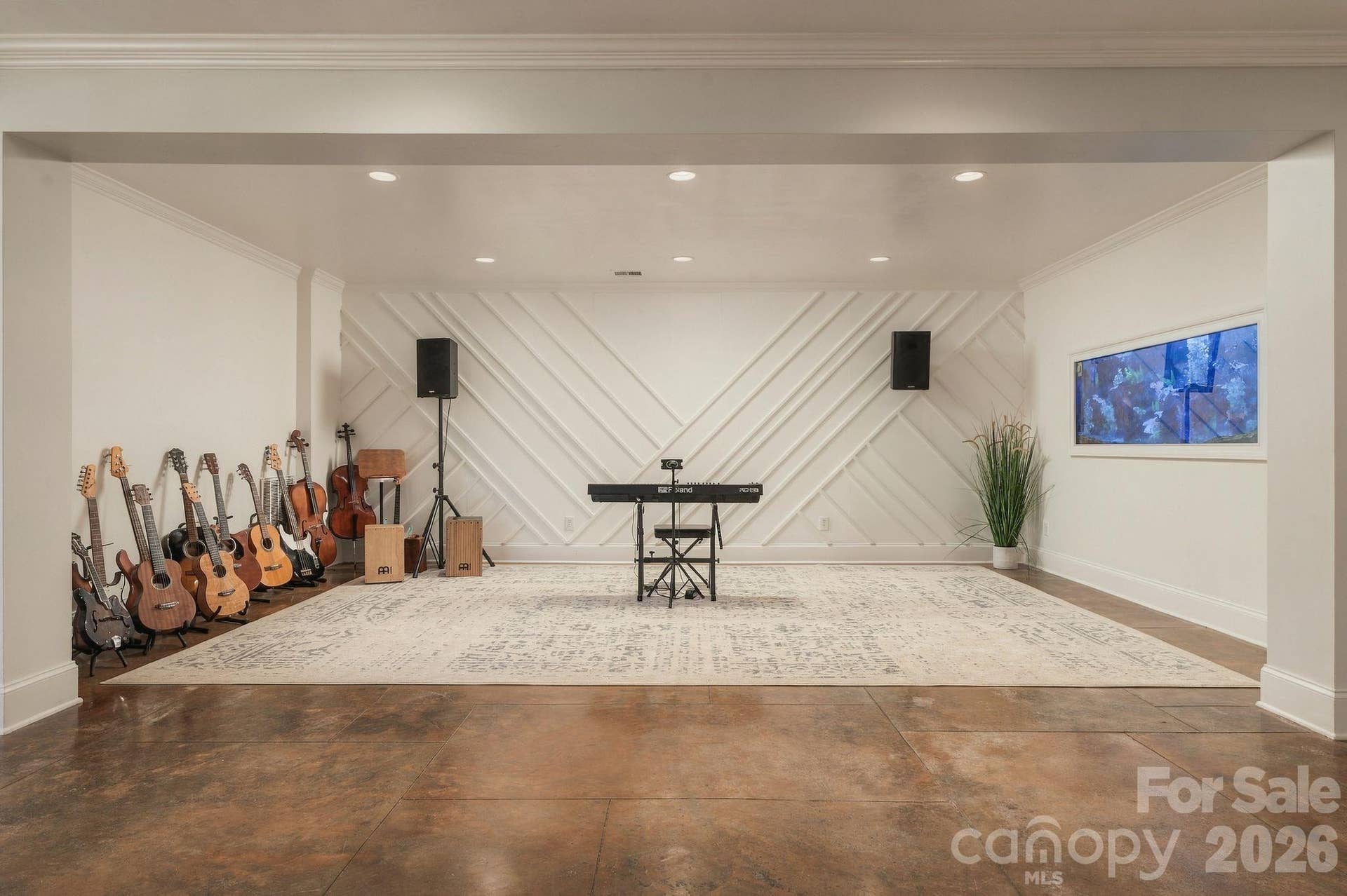 Bonus basement space features fish aquarium