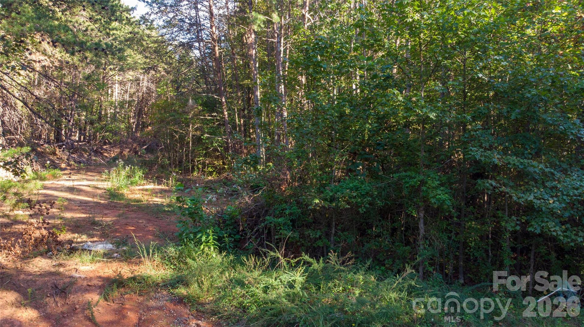 81 Meandering Lane, Lincolnton, NC 28092 81 Meandering Lane, Lincolnton, NC 28092