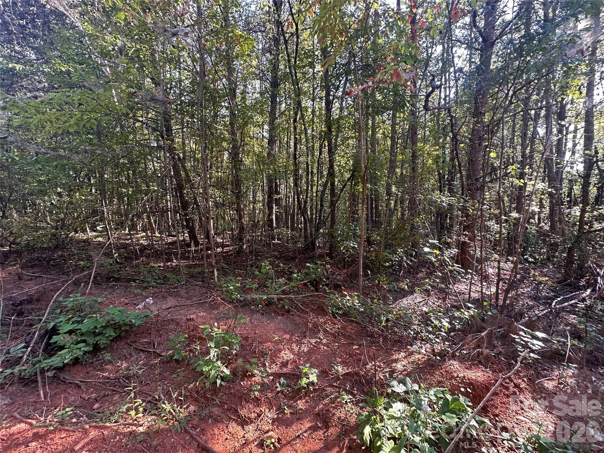 81 Meandering Lane, Lincolnton, NC 28092 81 Meandering Lane, Lincolnton, NC 28092