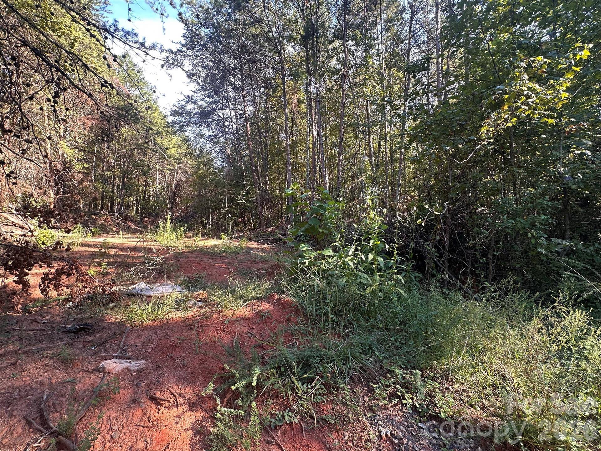 81 Meandering Lane, Lincolnton, NC 28092 81 Meandering Lane, Lincolnton, NC 28092