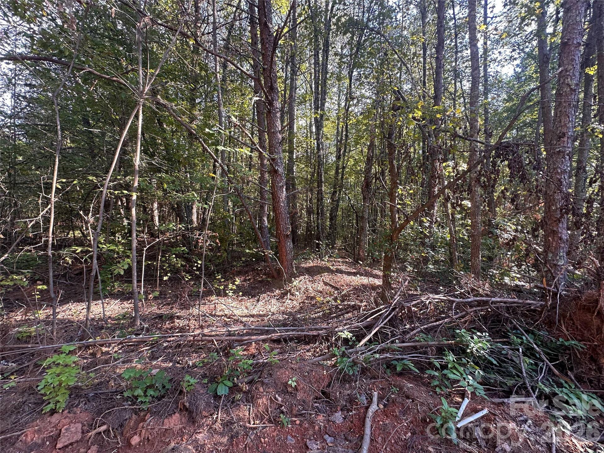 81 Meandering Lane, Lincolnton, NC 28092 81 Meandering Lane, Lincolnton, NC 28092