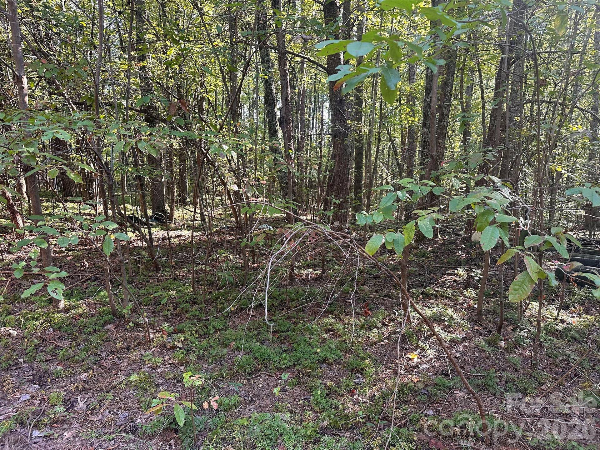 81 Meandering Lane, Lincolnton, NC 28092 81 Meandering Lane, Lincolnton, NC 28092