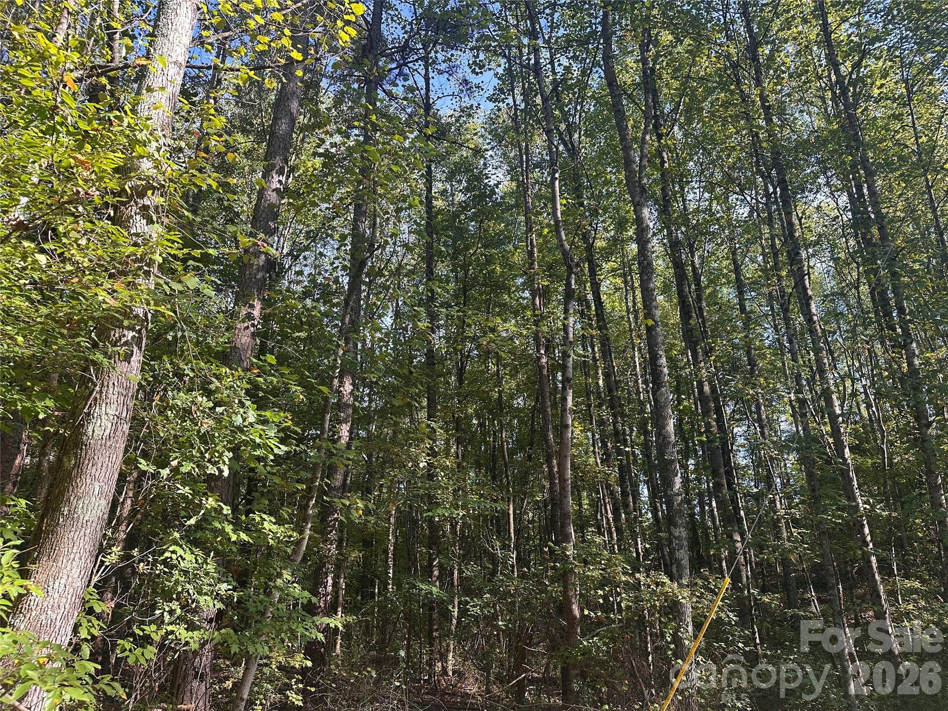 81 Meandering Lane, Lincolnton, NC 28092 81 Meandering Lane, Lincolnton, NC 28092