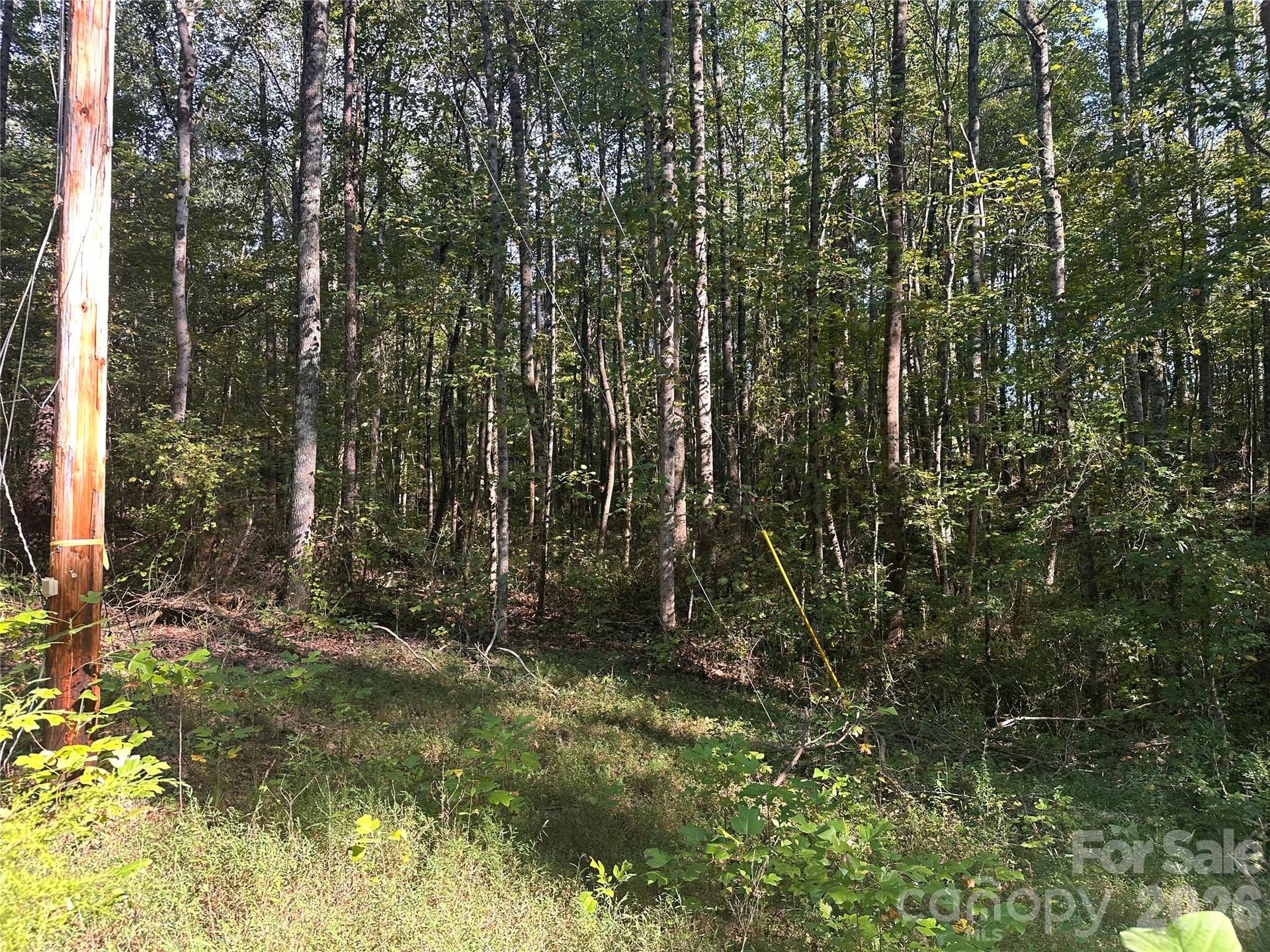 81 Meandering Lane, Lincolnton, NC 28092 81 Meandering Lane, Lincolnton, NC 28092