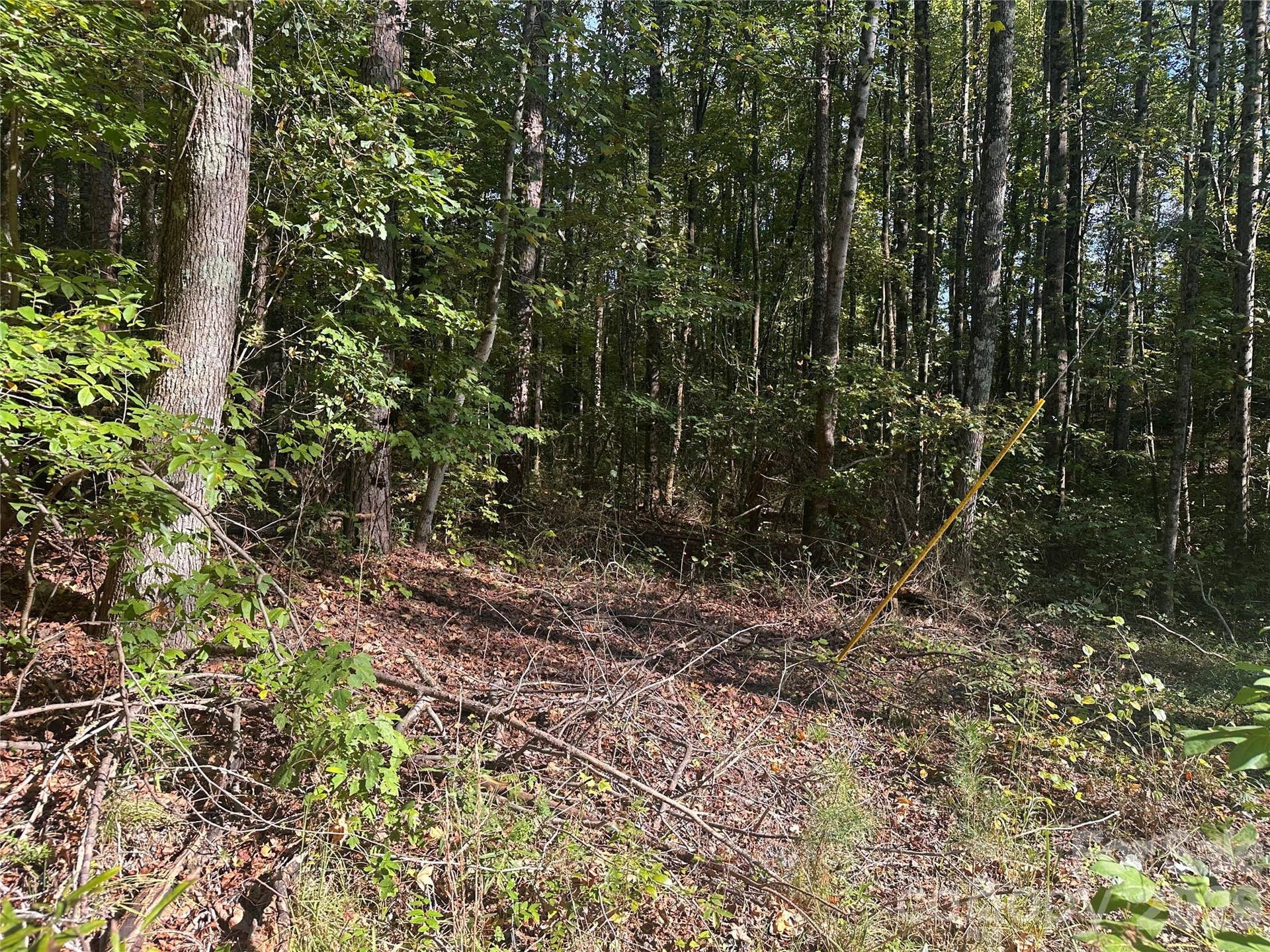 81 Meandering Lane, Lincolnton, NC 28092 81 Meandering Lane, Lincolnton, NC 28092