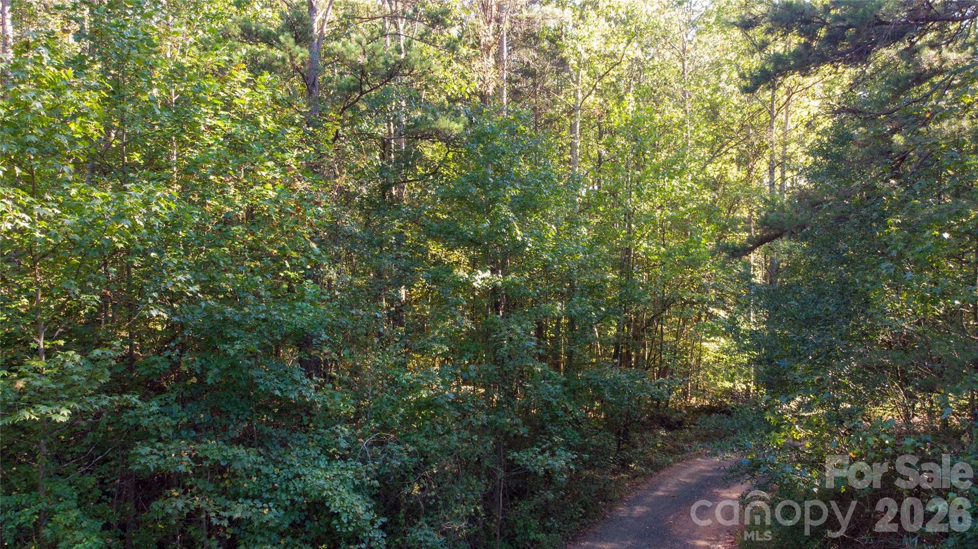 81 Meandering Lane, Lincolnton, NC 28092 81 Meandering Lane, Lincolnton, NC 28092