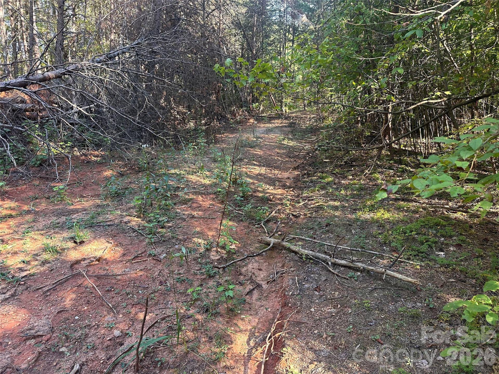 81 Meandering Lane, Lincolnton, NC 28092 81 Meandering Lane, Lincolnton, NC 28092