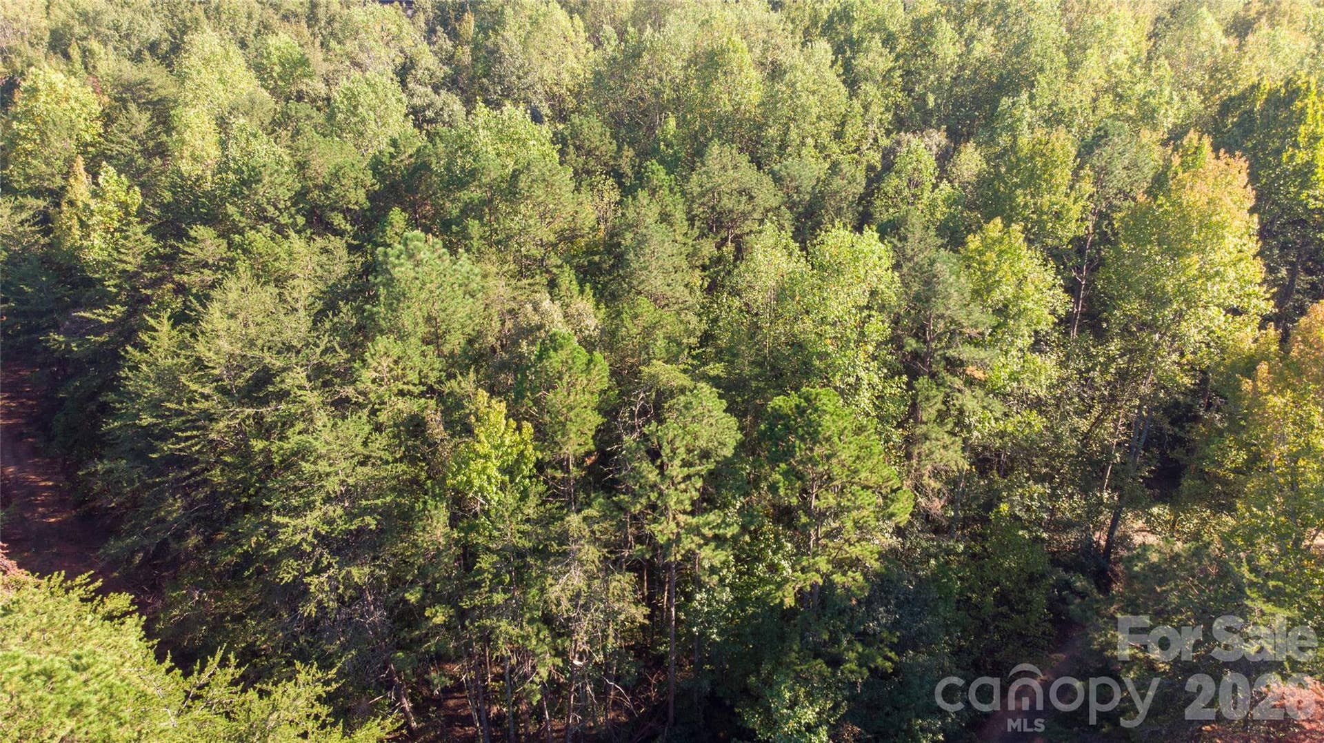 81 Meandering Lane, Lincolnton, NC 28092 81 Meandering Lane, Lincolnton, NC 28092