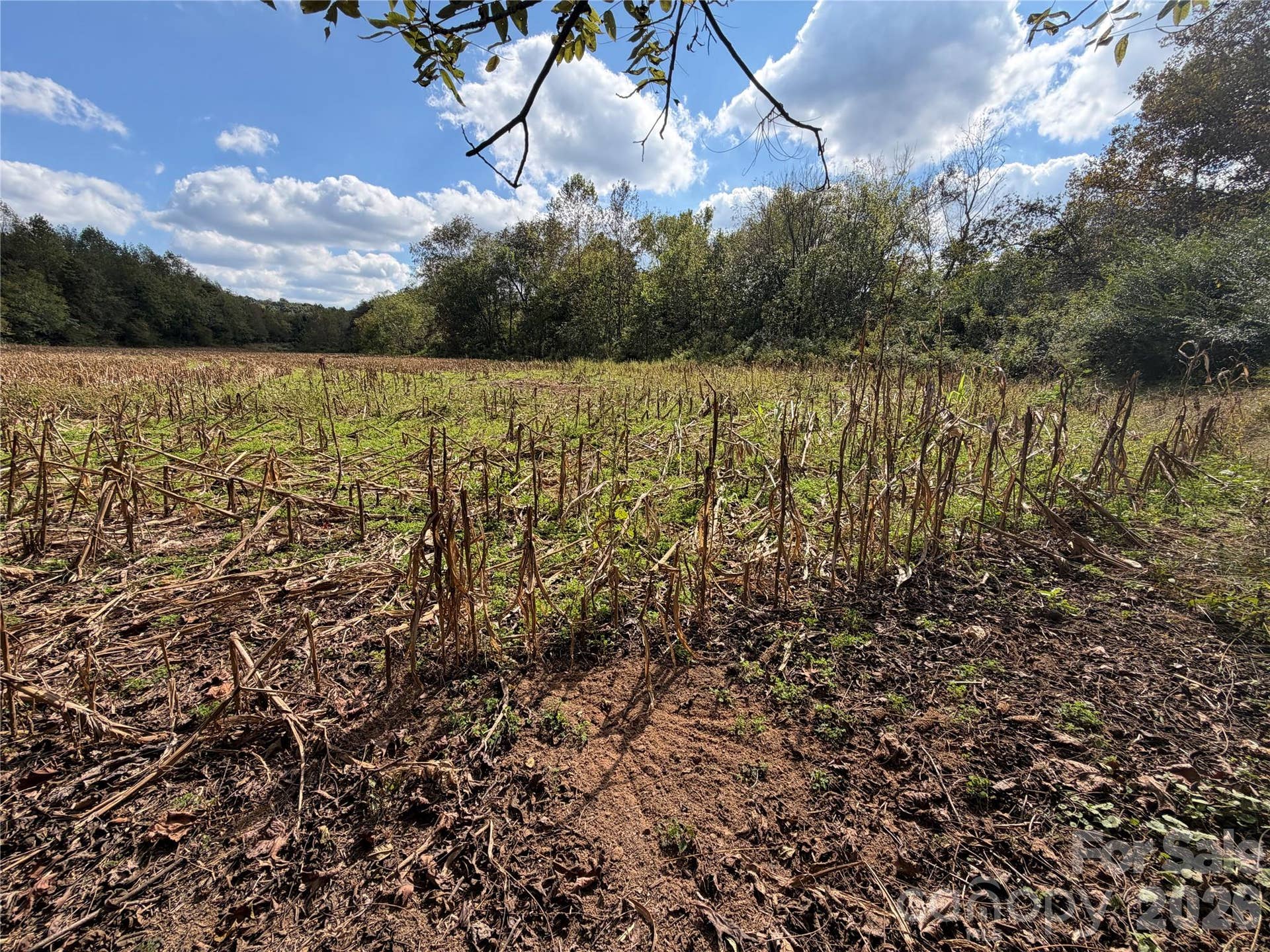 00 Jim Elliott Road, Shelby, NC 28150 00 Jim Elliott Road, Shelby, NC 28150