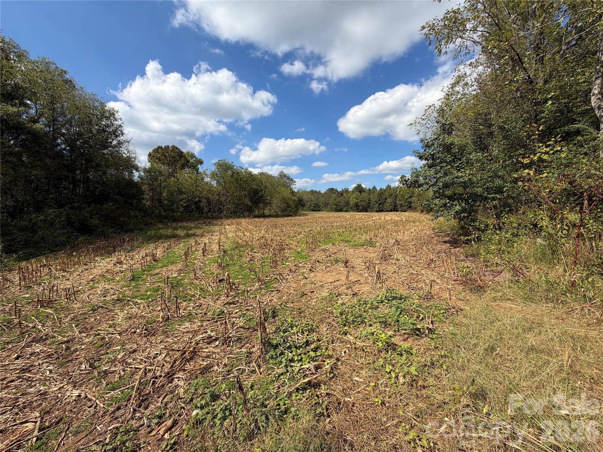 00 Jim Elliott Road, Shelby, NC 28150 00 Jim Elliott Road, Shelby, NC 28150