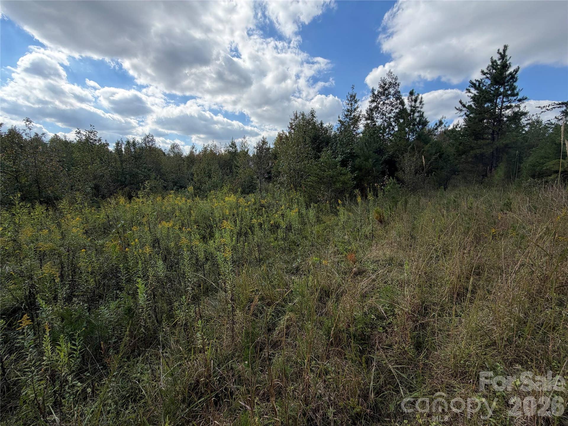 00 Jim Elliott Road, Shelby, NC 28150 00 Jim Elliott Road, Shelby, NC 28150