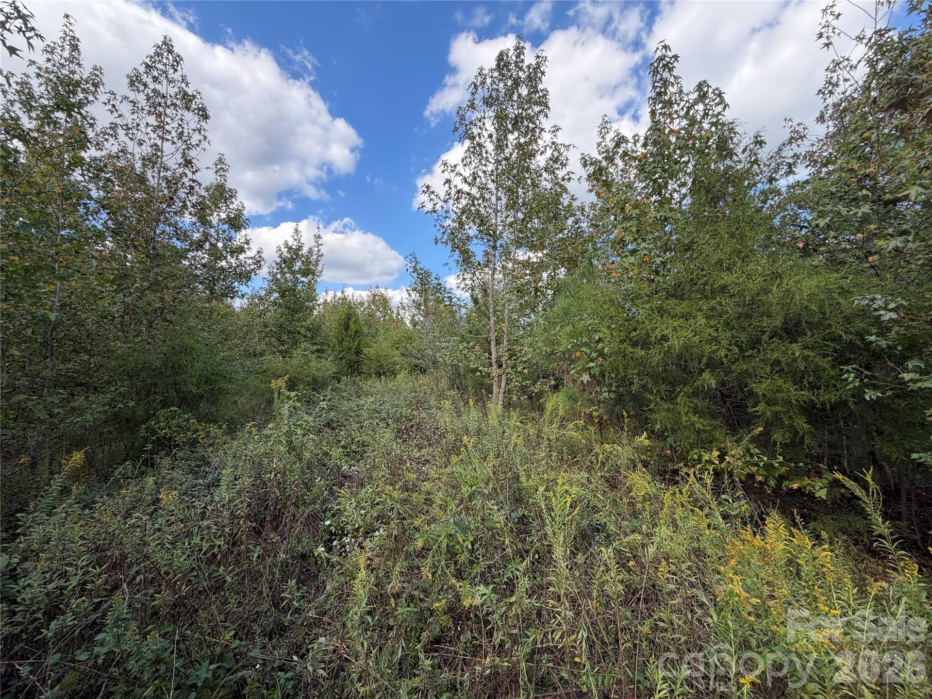 00 Jim Elliott Road, Shelby, NC 28150 00 Jim Elliott Road, Shelby, NC 28150