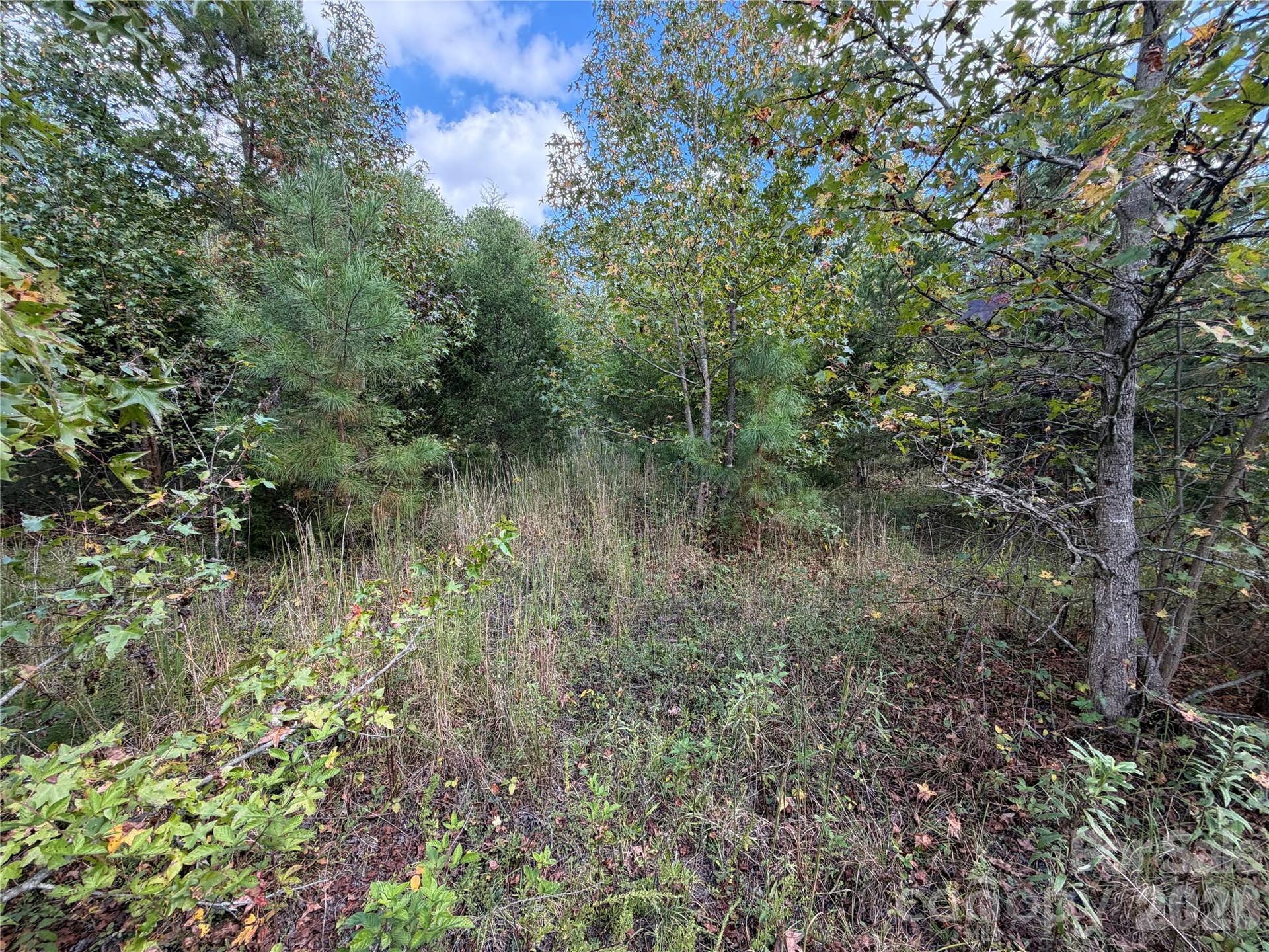 00 Jim Elliott Road, Shelby, NC 28150 00 Jim Elliott Road, Shelby, NC 28150