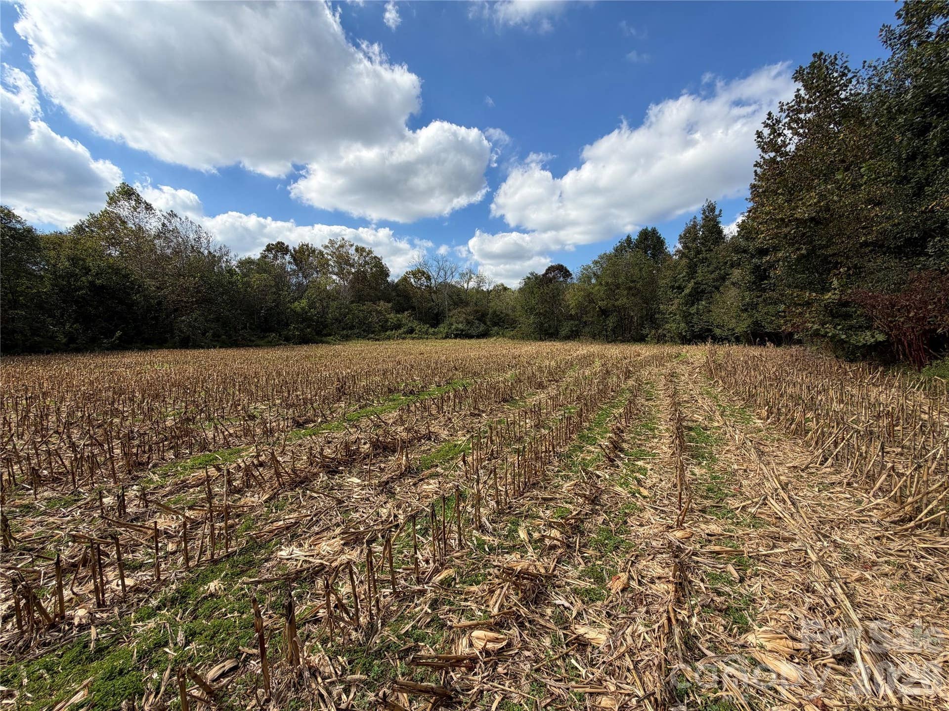 00 Jim Elliott Road, Shelby, NC 28150 00 Jim Elliott Road, Shelby, NC 28150