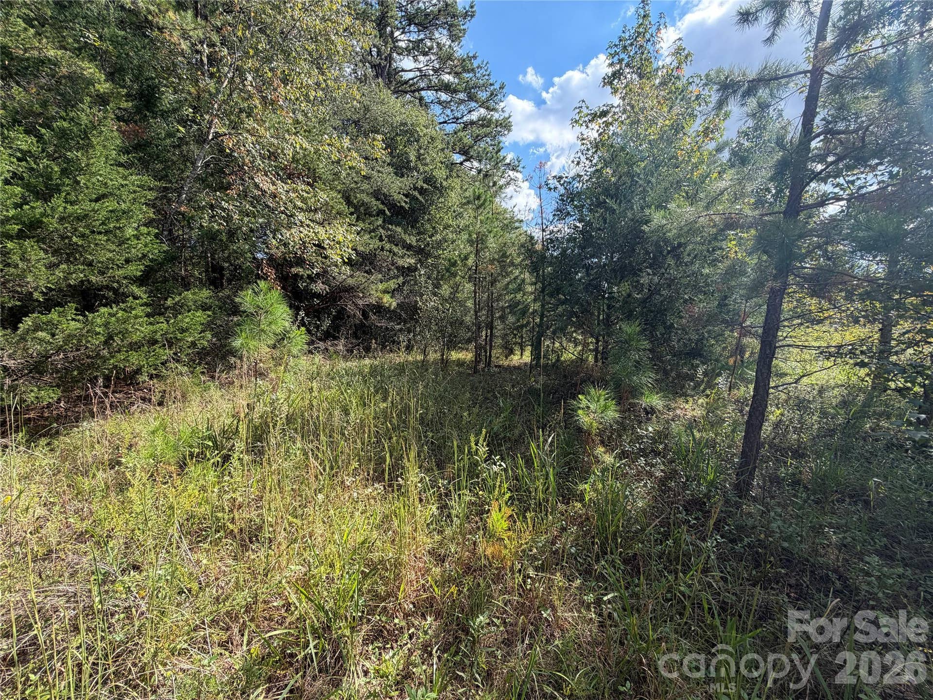 00 Jim Elliott Road, Shelby, NC 28150 00 Jim Elliott Road, Shelby, NC 28150