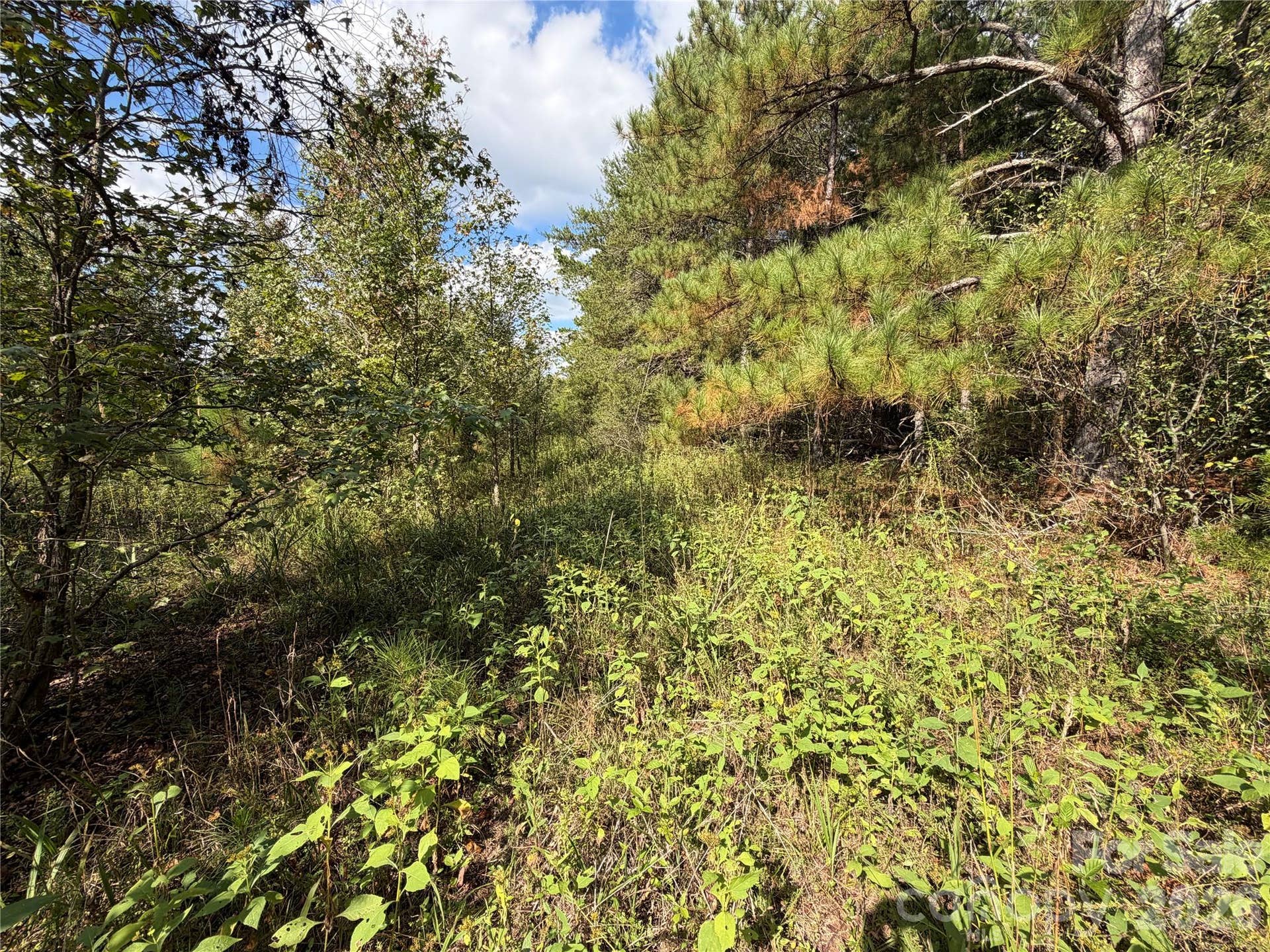 00 Jim Elliott Road, Shelby, NC 28150 00 Jim Elliott Road, Shelby, NC 28150