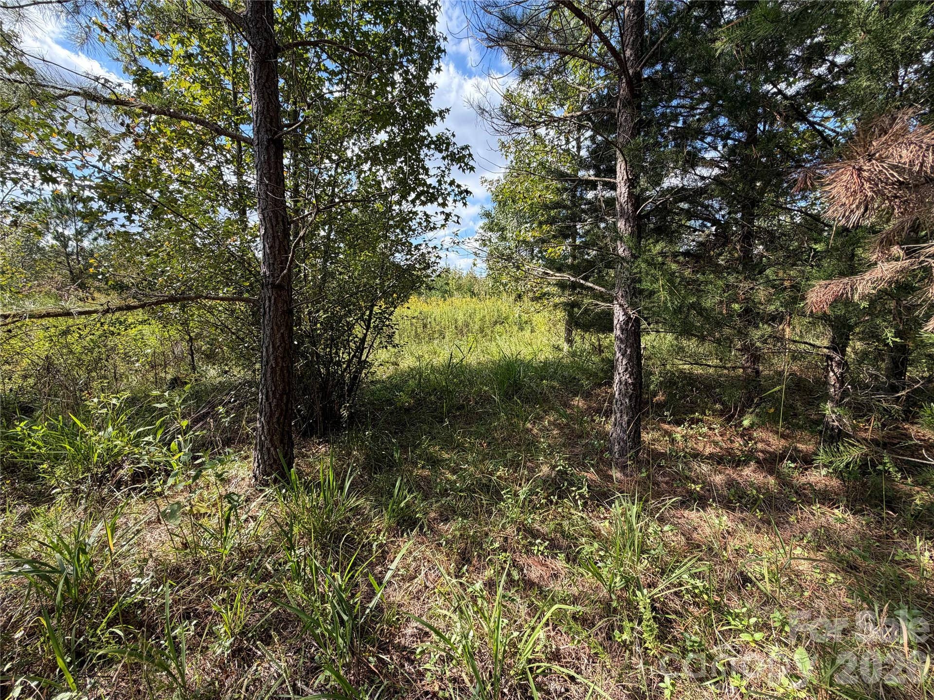 00 Jim Elliott Road, Shelby, NC 28150 00 Jim Elliott Road, Shelby, NC 28150