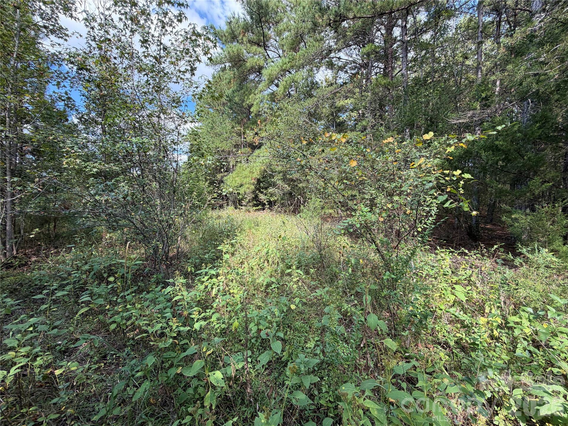 00 Jim Elliott Road, Shelby, NC 28150 00 Jim Elliott Road, Shelby, NC 28150