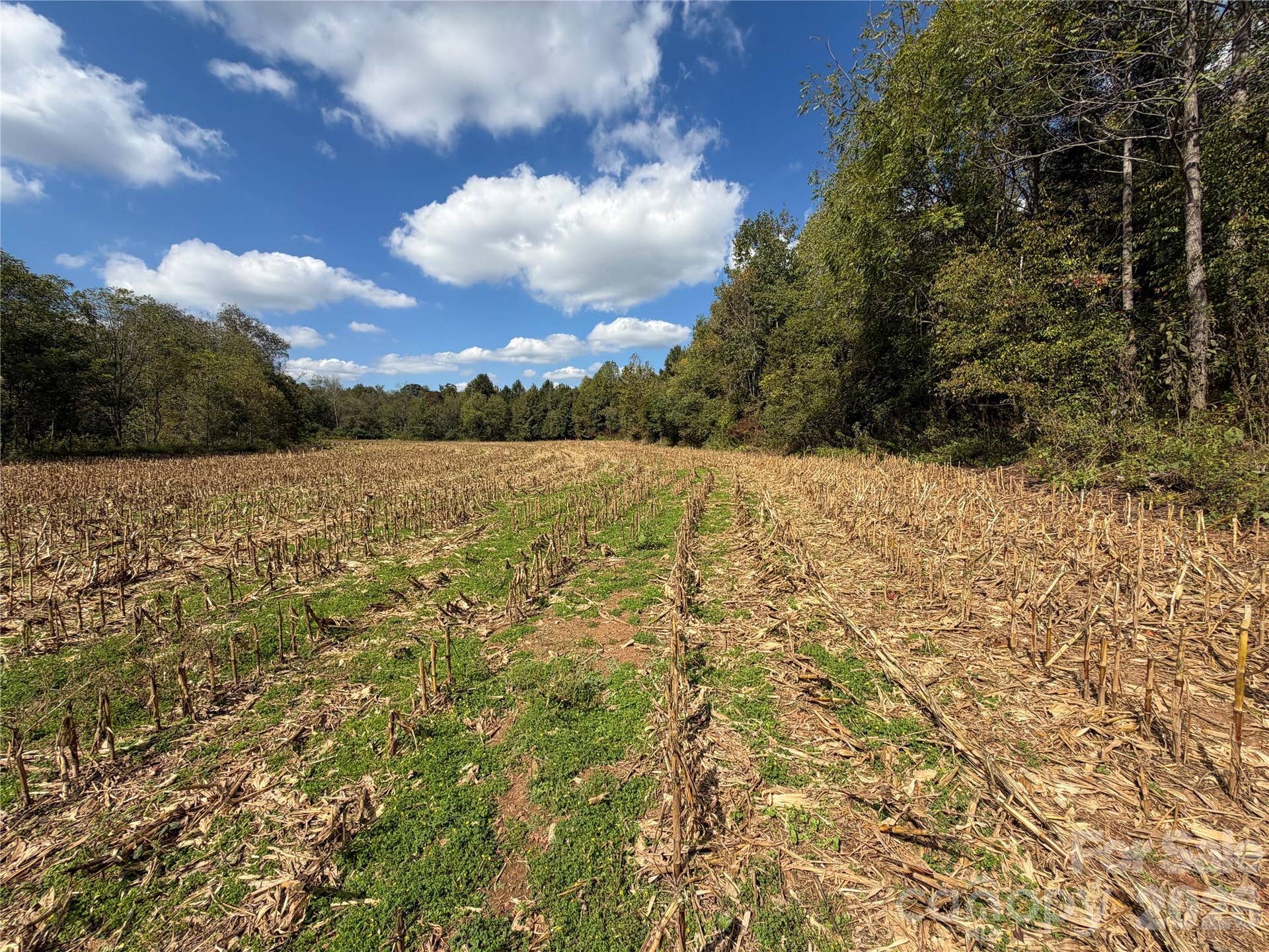 00 Jim Elliott Road, Shelby, NC 28150 00 Jim Elliott Road, Shelby, NC 28150