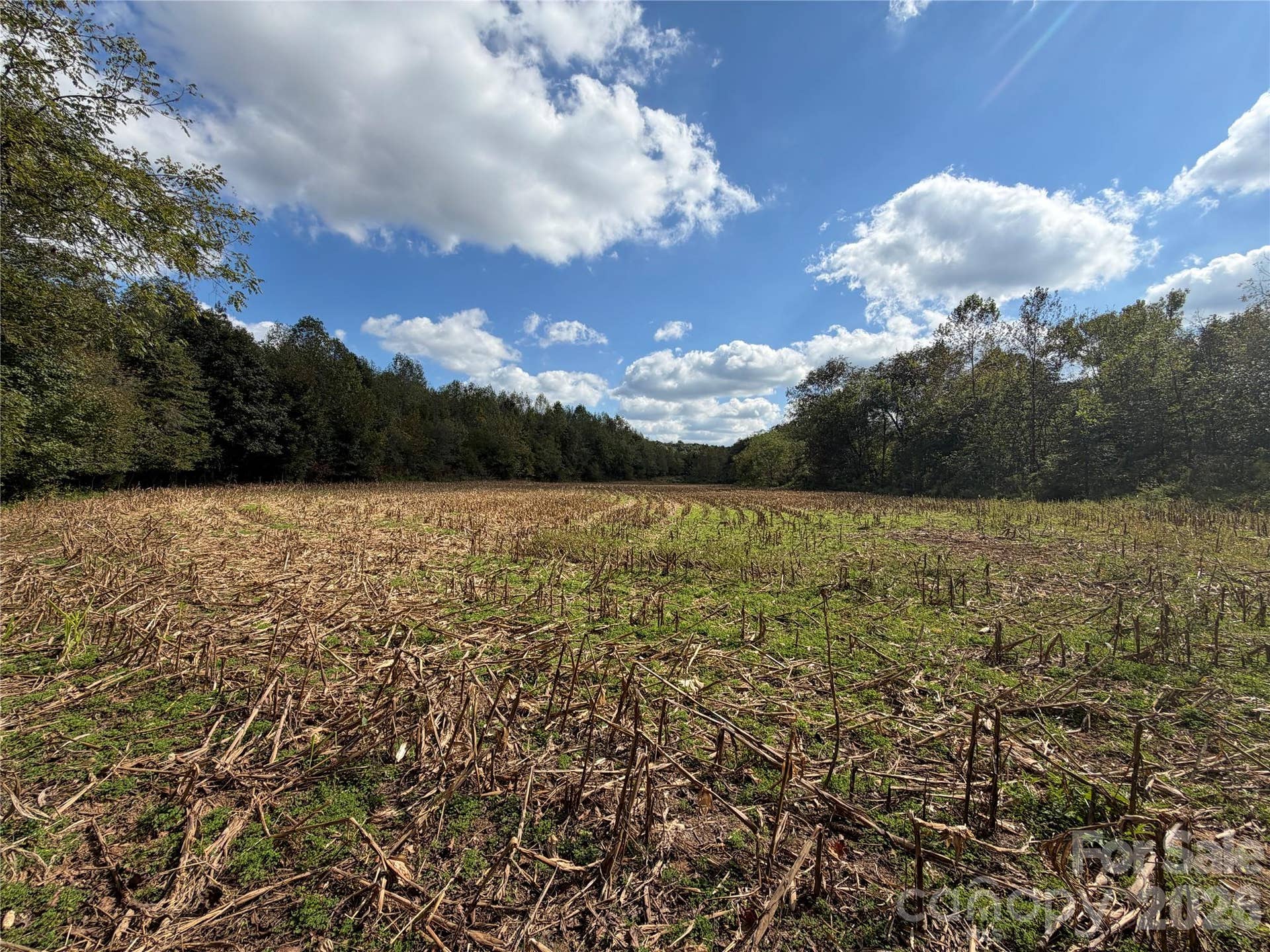 00 Jim Elliott Road, Shelby, NC 28150 00 Jim Elliott Road, Shelby, NC 28150