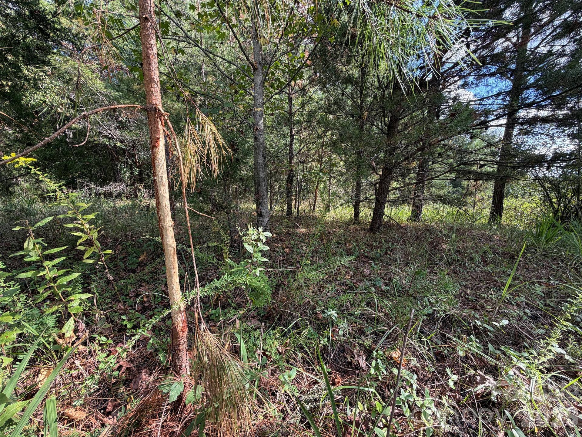 00 Jim Elliott Road, Shelby, NC 28150 00 Jim Elliott Road, Shelby, NC 28150