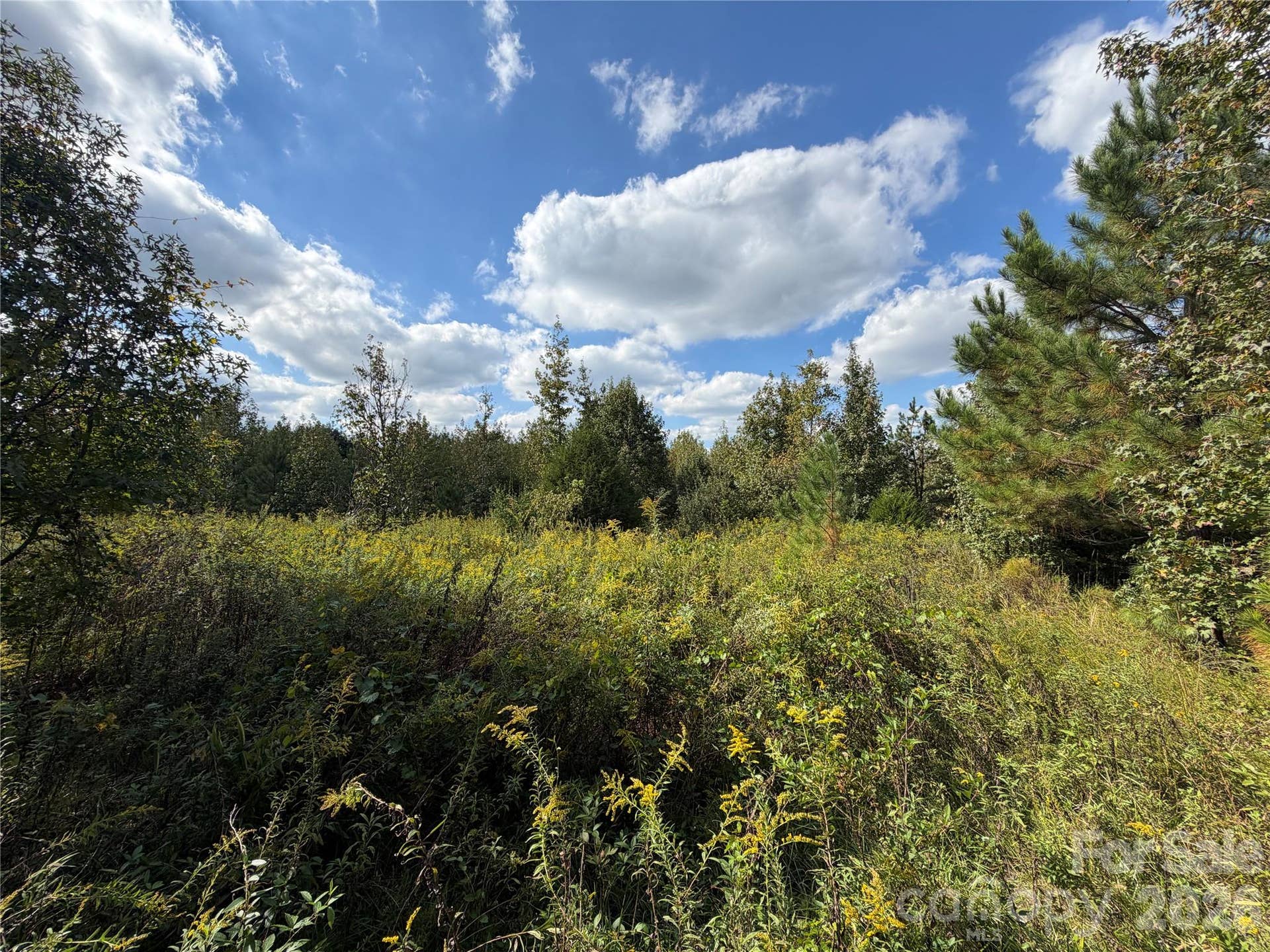 00 Jim Elliott Road, Shelby, NC 28150 00 Jim Elliott Road, Shelby, NC 28150