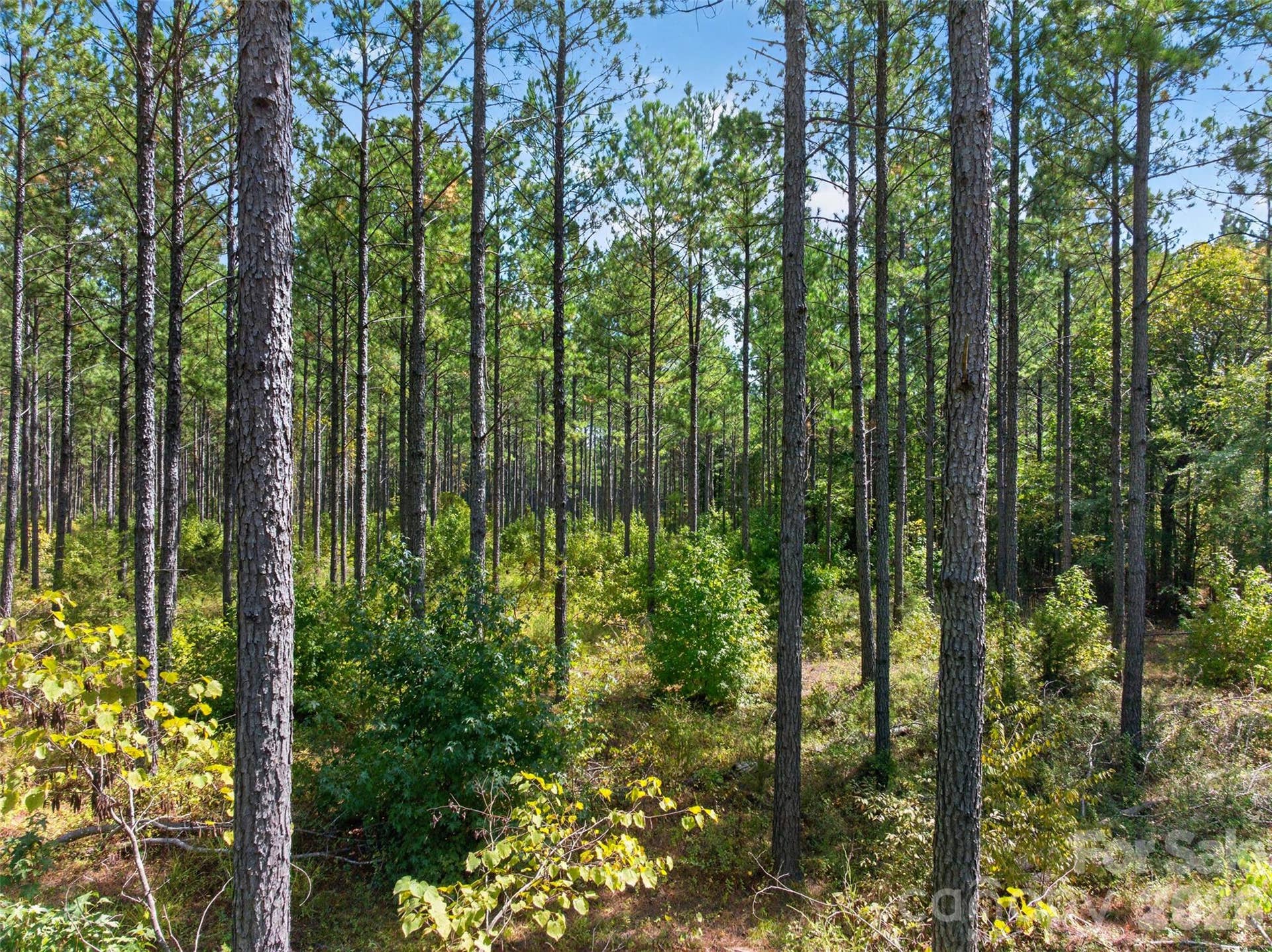 0000 Garvin Road, #1, York, SC 29726 0000 Garvin Road, #1, York, SC 29726