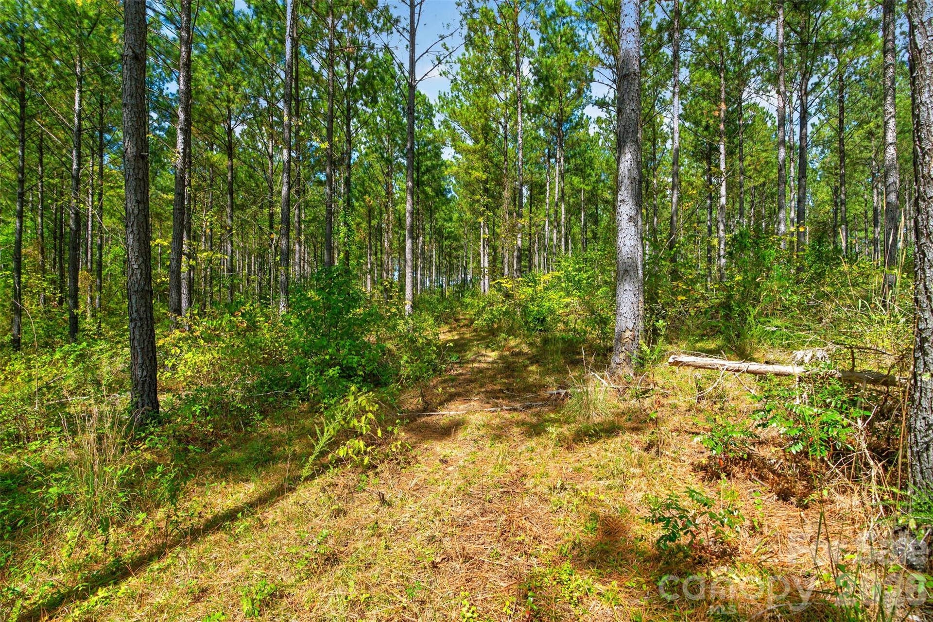 0000 Garvin Road, #1, York, SC 29726 0000 Garvin Road, #1, York, SC 29726