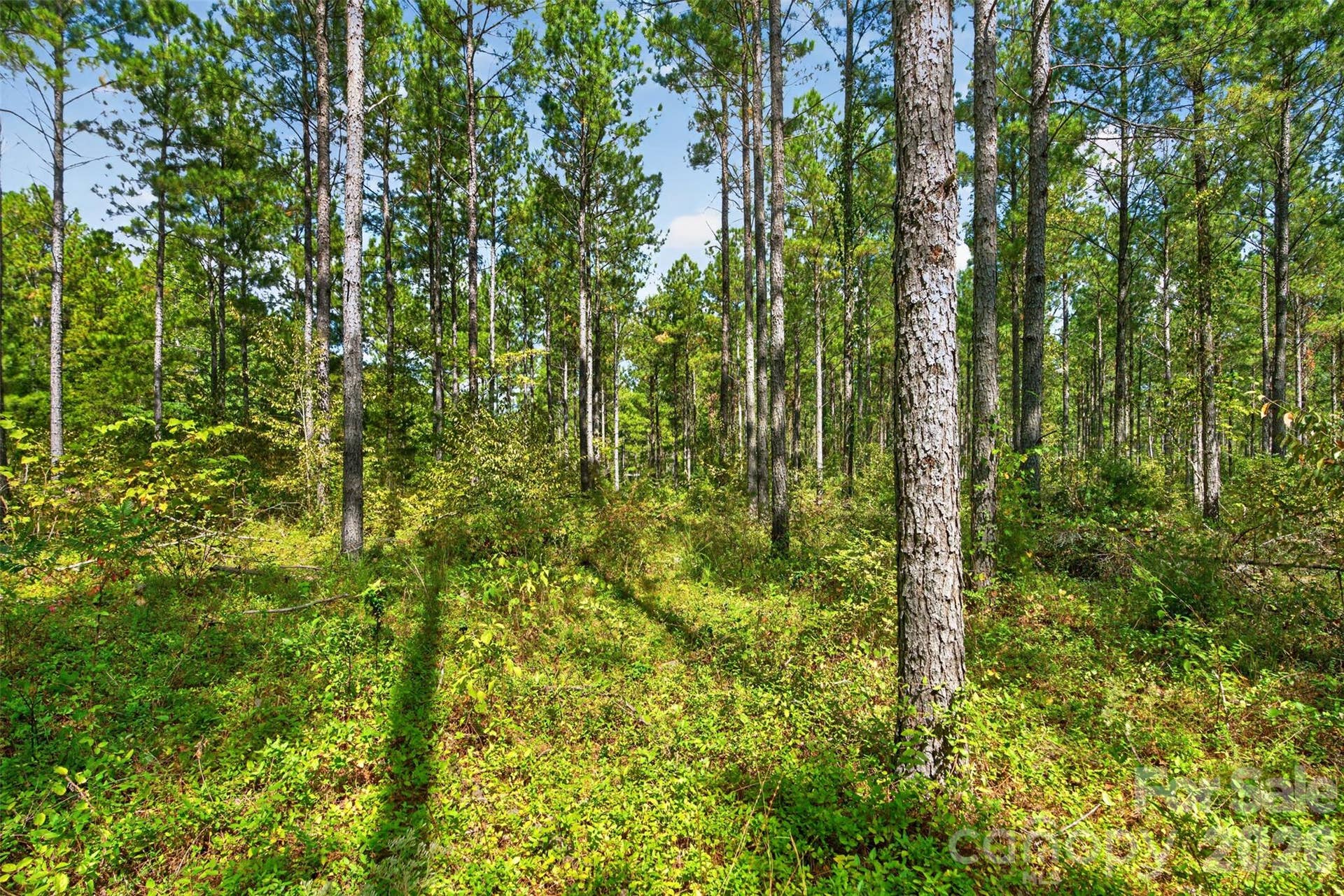 0000 Garvin Road, #1, York, SC 29726 0000 Garvin Road, #1, York, SC 29726