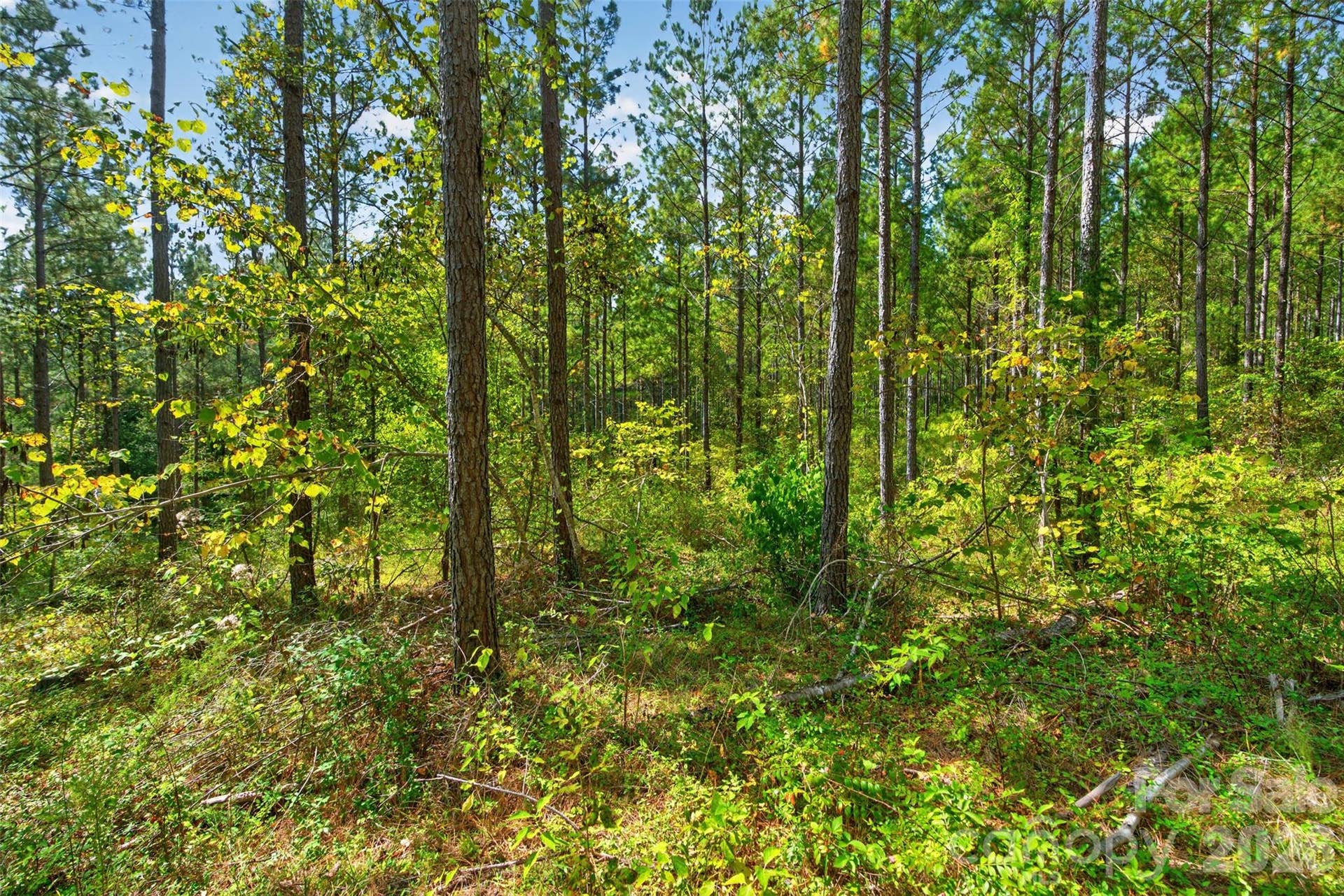 0000 Garvin Road, #1, York, SC 29726 0000 Garvin Road, #1, York, SC 29726