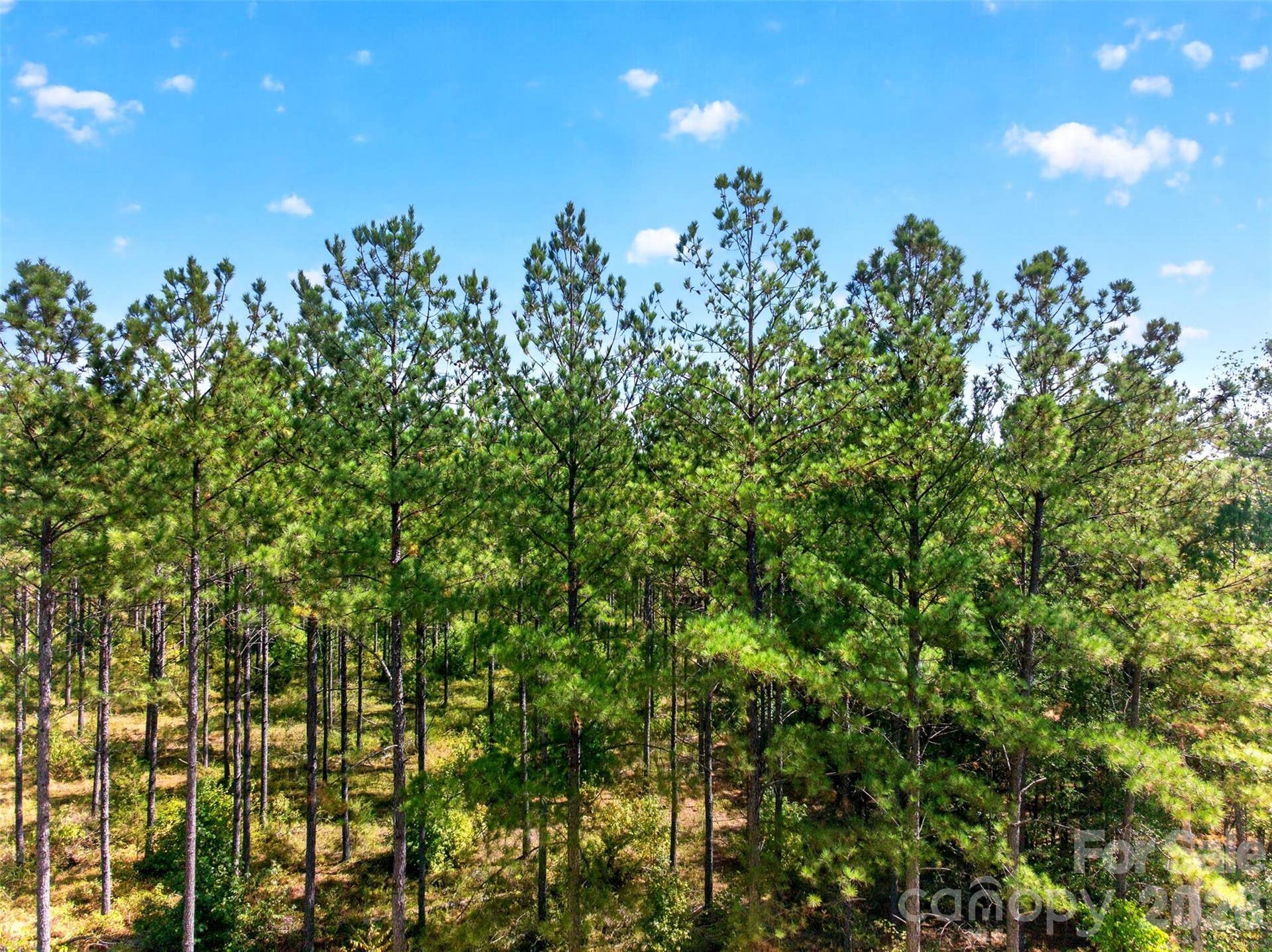 0000 Garvin Road, #1, York, SC 29726 0000 Garvin Road, #1, York, SC 29726